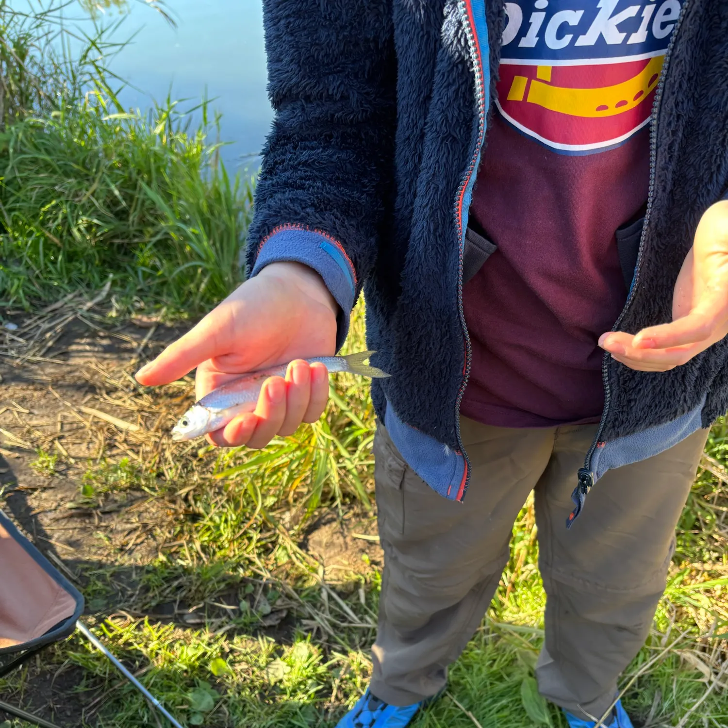 Common roach caught on Fishbrain