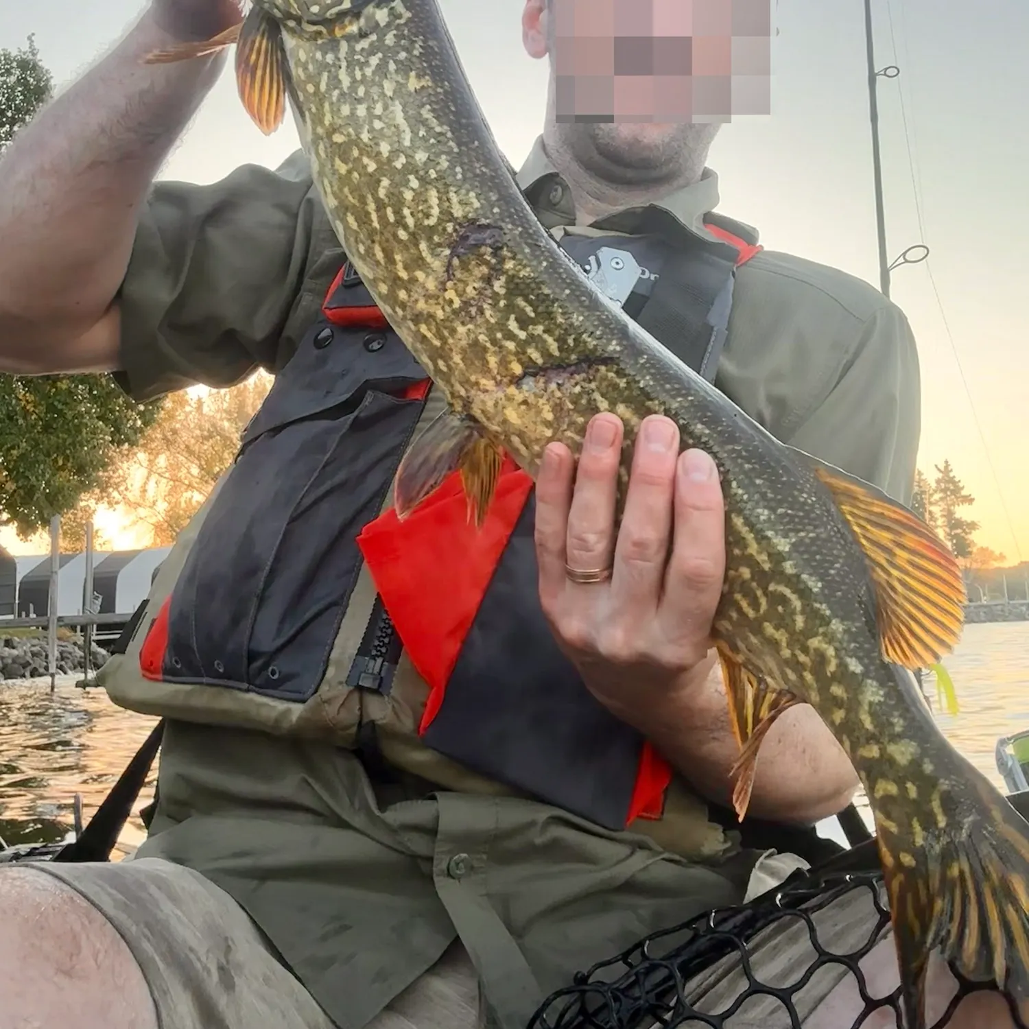 Northern pike caught on Fishbrain