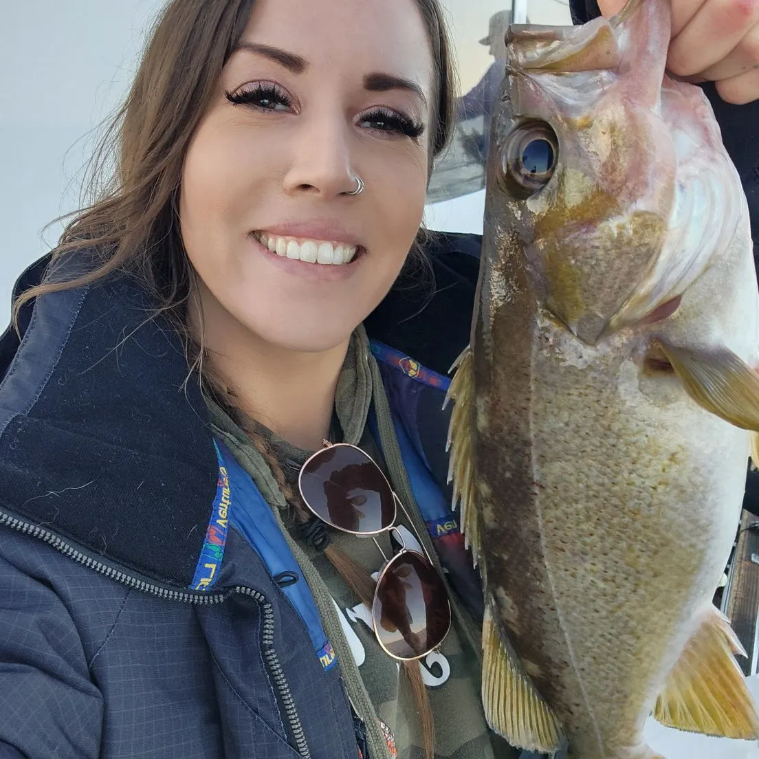 The most recent Yellowtail rockfish catches on Fishbrain