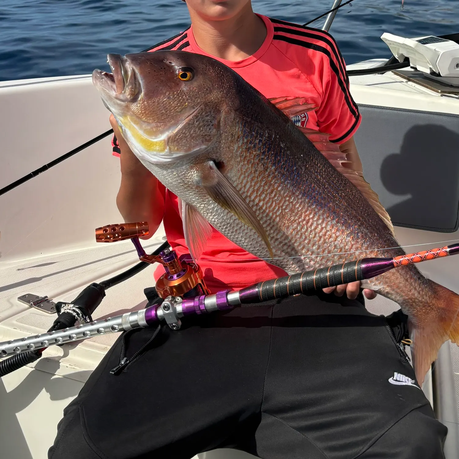 Common dentex caught on Fishbrain