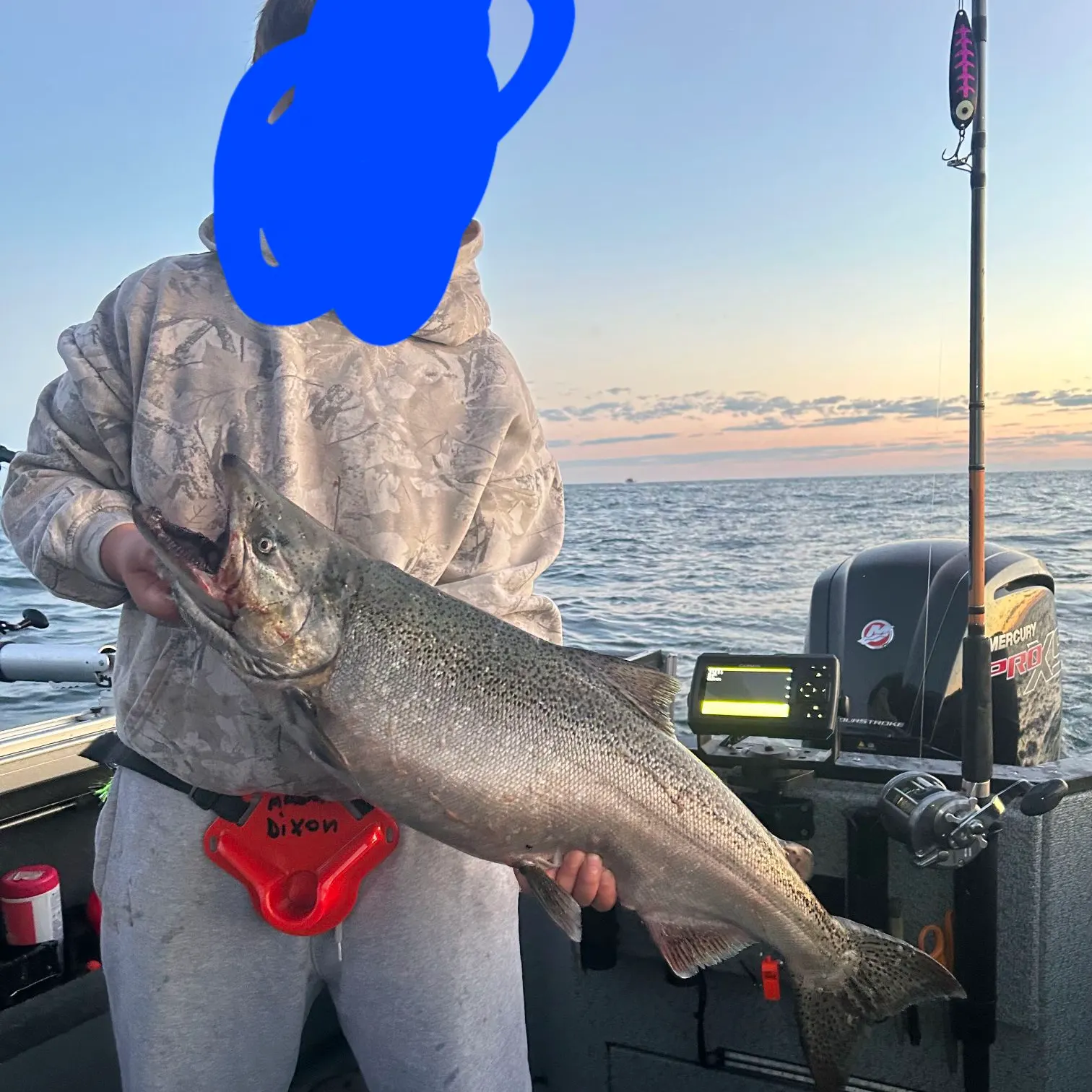 Chinook salmon caught on Fishbrain