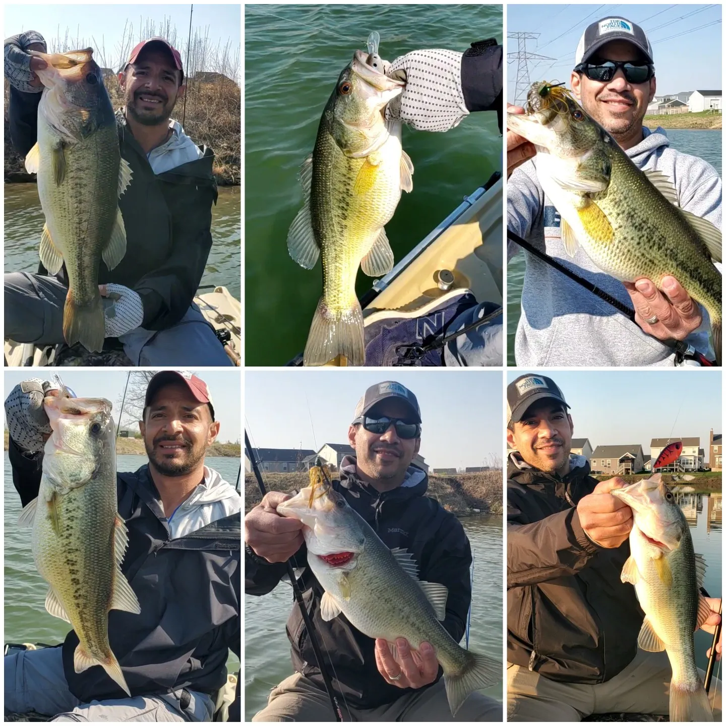 recently logged catches