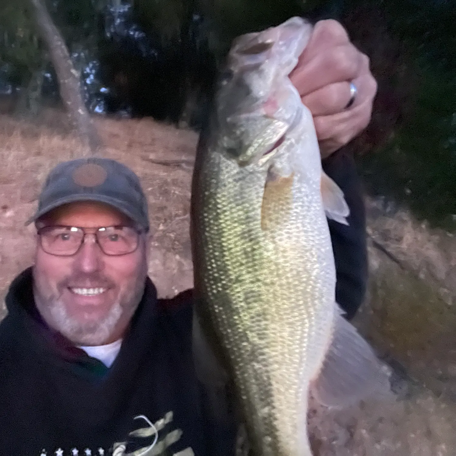 Largemouth bass caught on Fishbrain