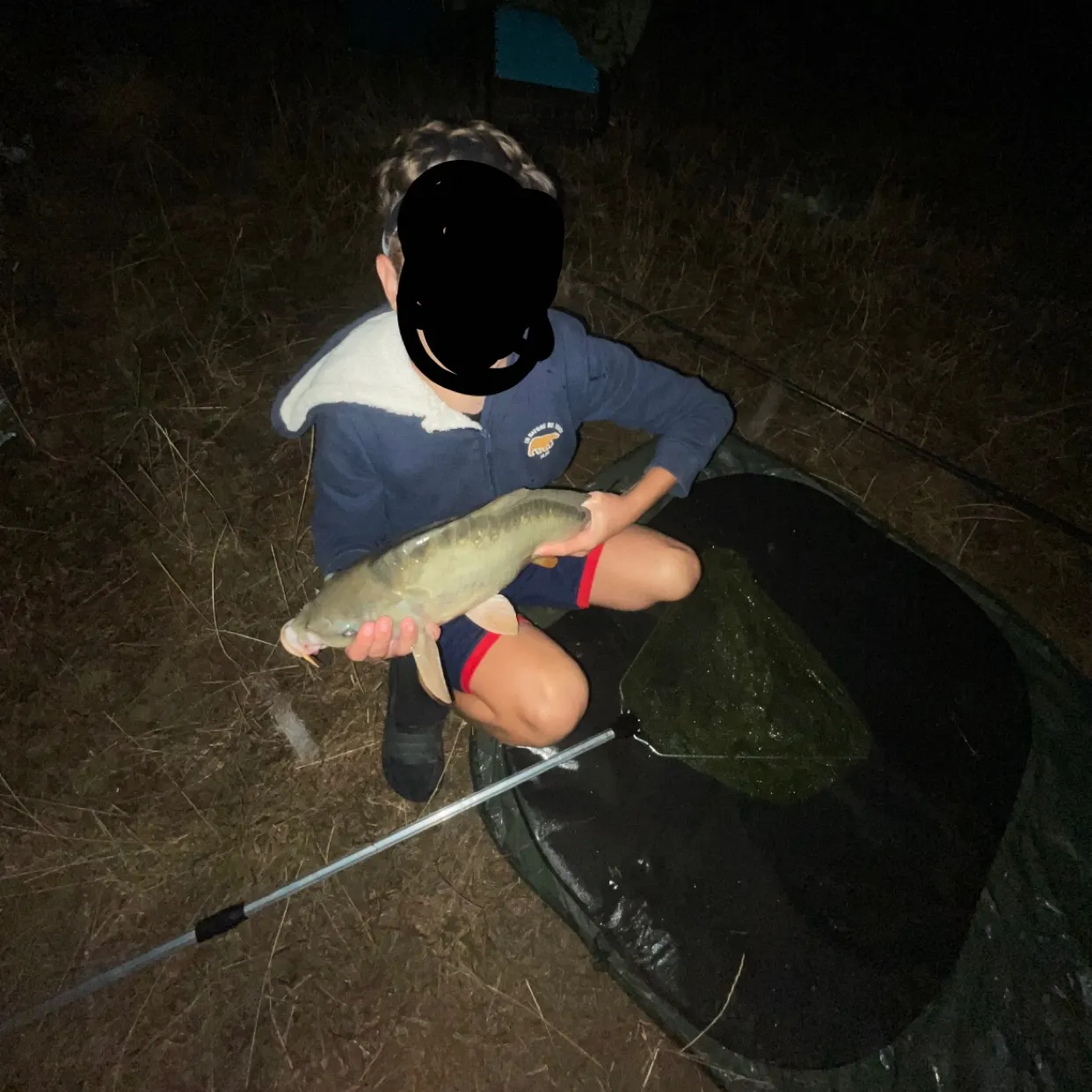 Mirror carp caught on Fishbrain