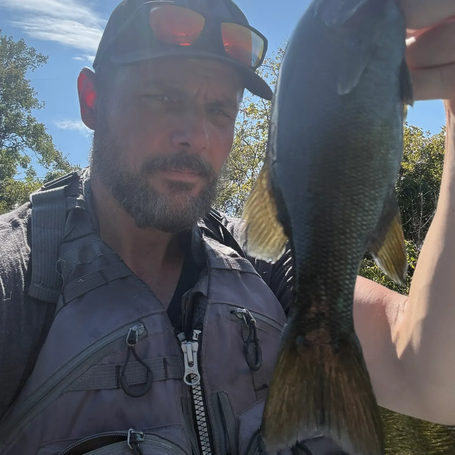 Smallmouth bass caught on Fishbrain
