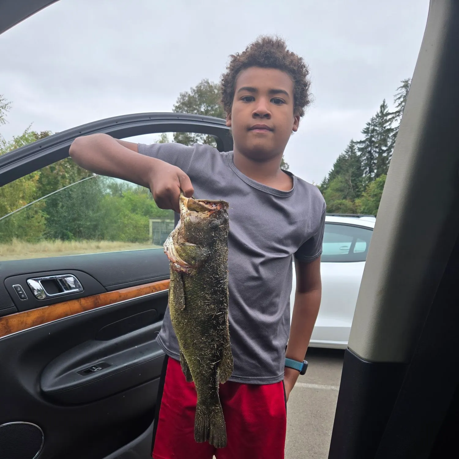 Fish caught on Fishbrain