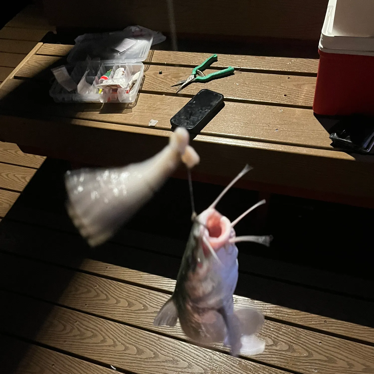 catch