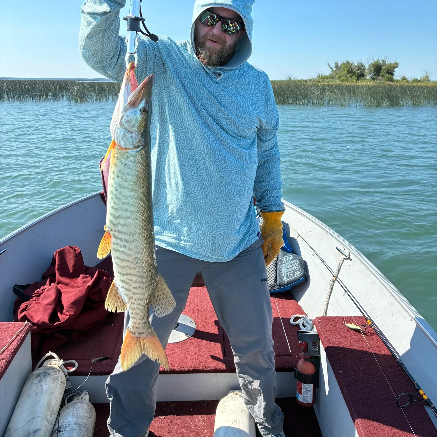 The most recent Muskellunge catches on Fishbrain