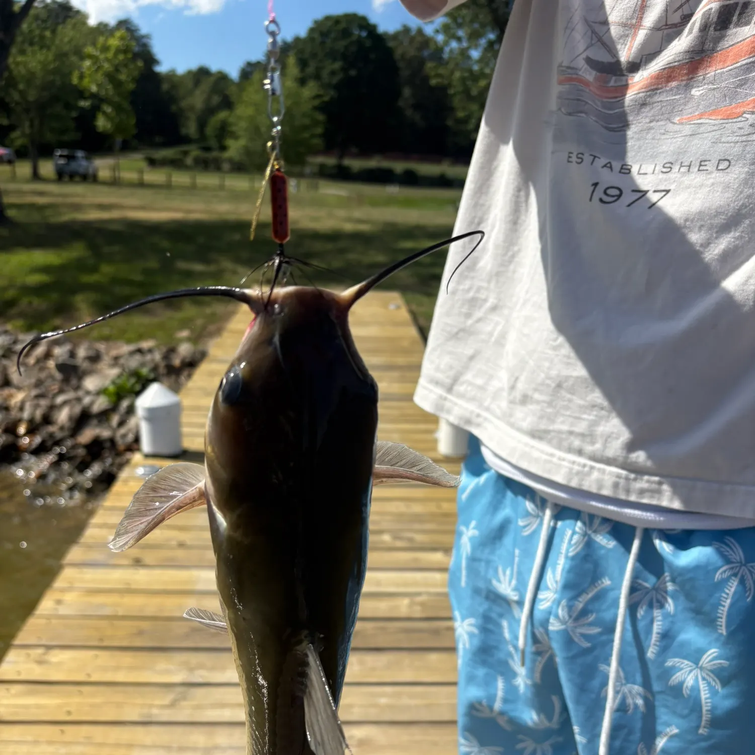catch