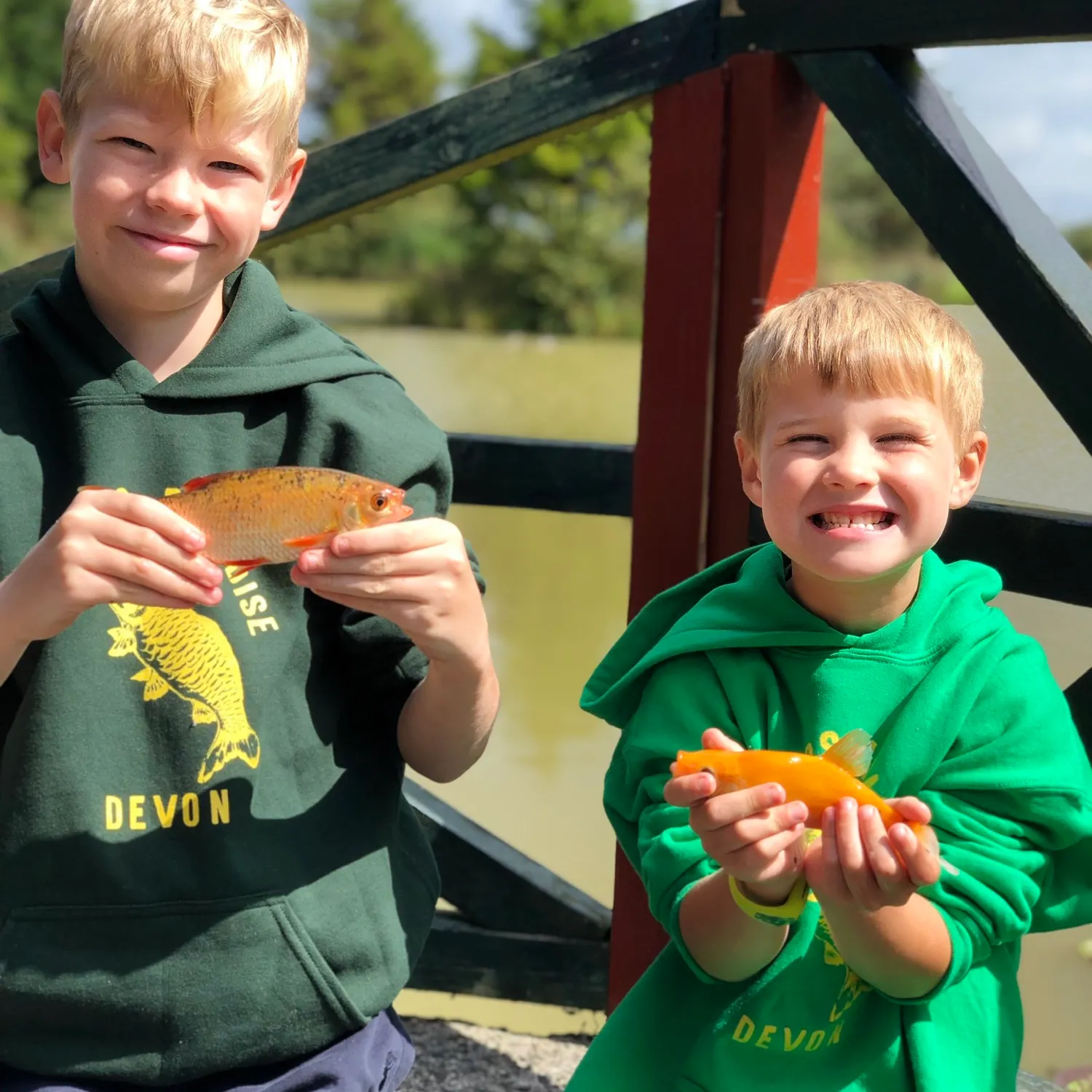 The most popular recent Golden tench catch on Fishbrain