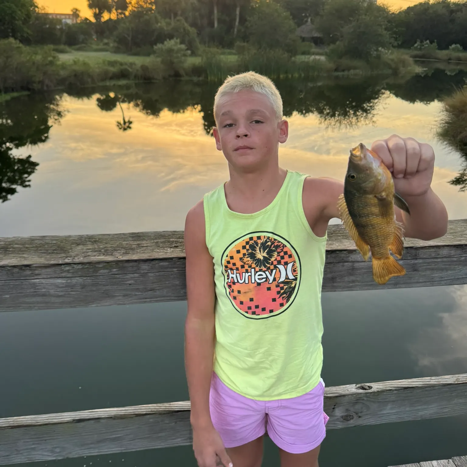 The most recent Green sunfish catches on Fishbrain