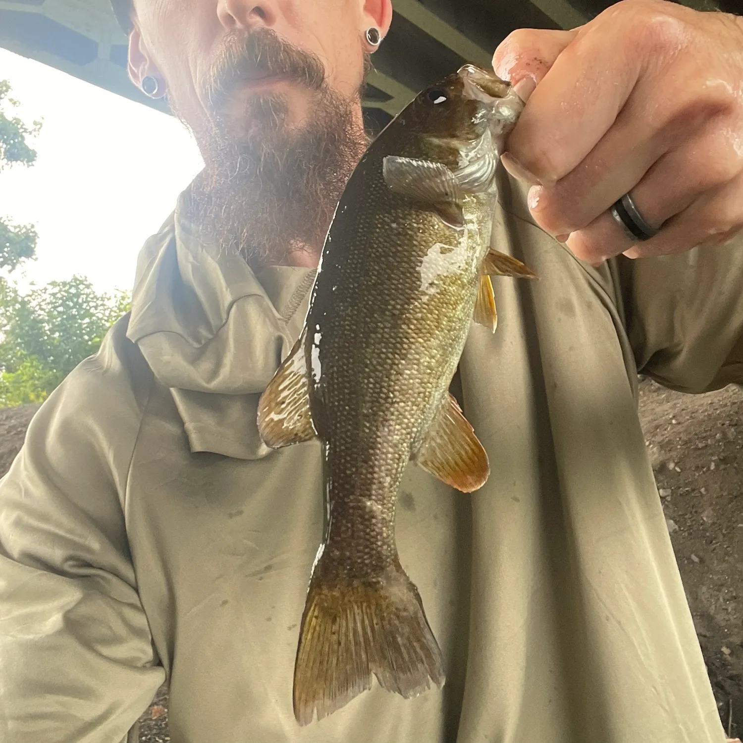 Smallmouth bass caught on Fishbrain