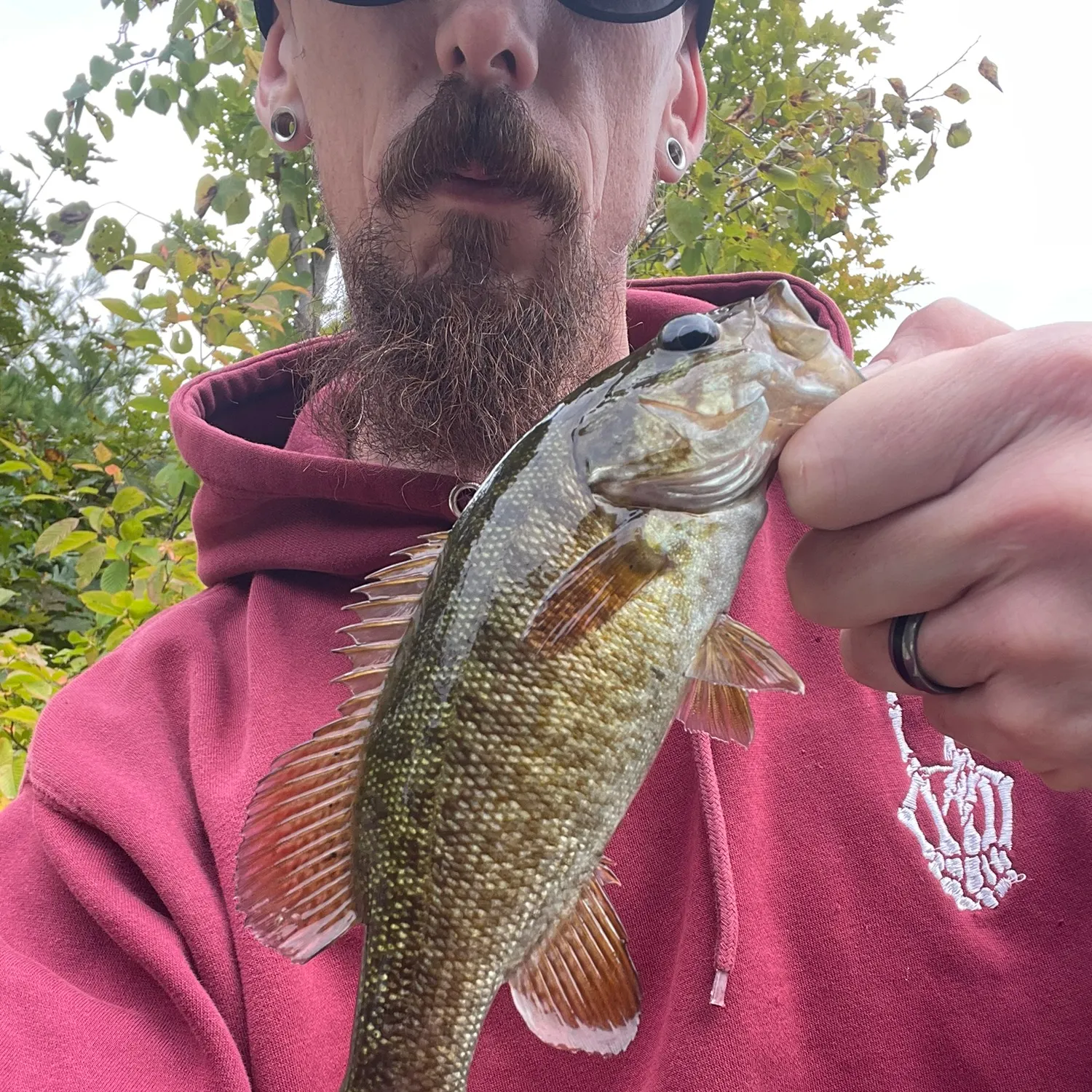 Smallmouth bass caught on Fishbrain