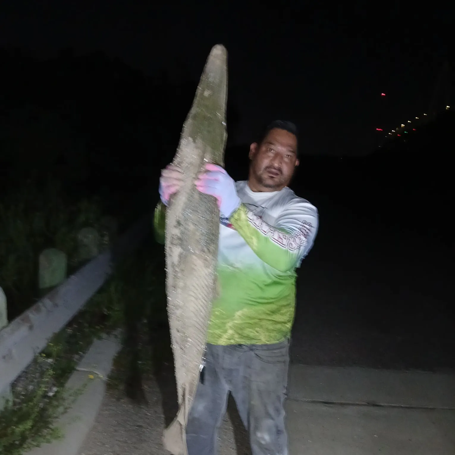 The most recent Alligator gar catches on Fishbrain