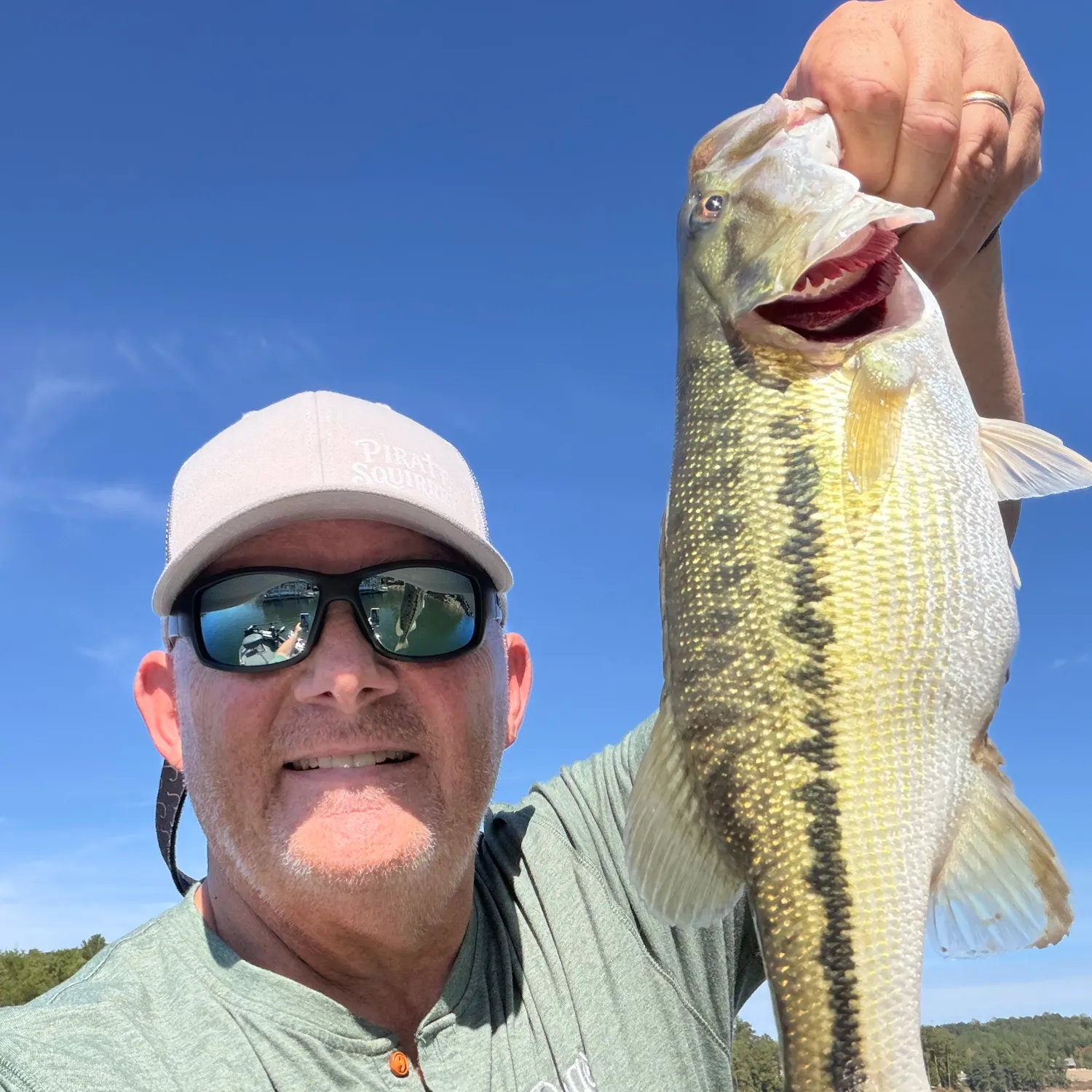 Spotted bass caught on Fishbrain