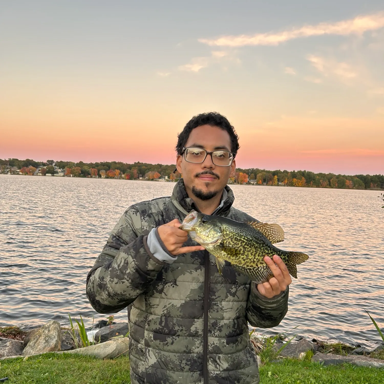 Black crappie caught on Fishbrain