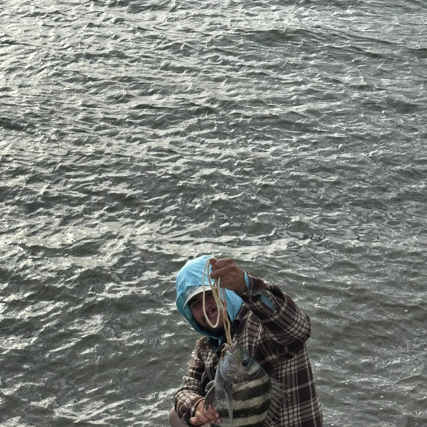 The most recent Sheepshead catches on Fishbrain