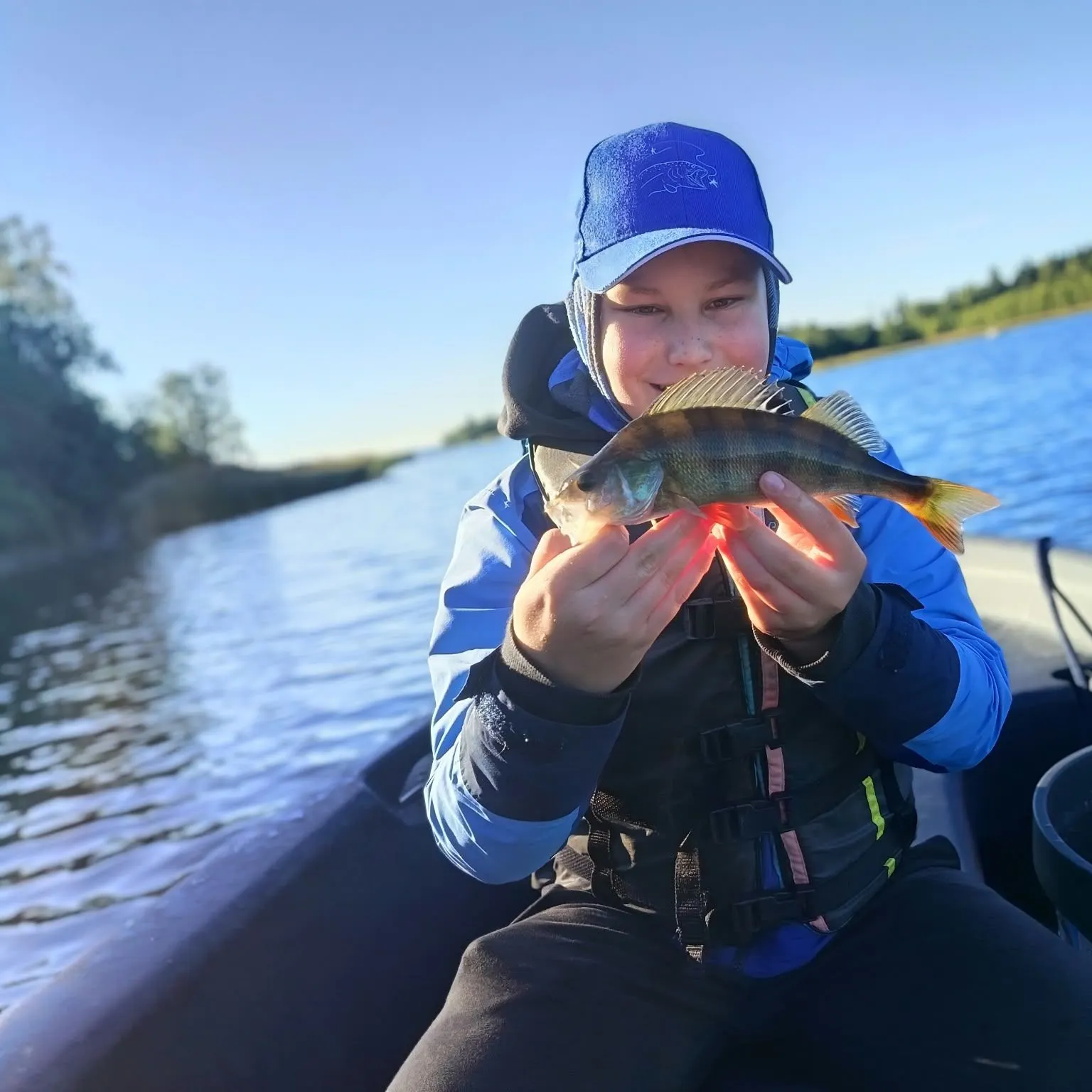 European perch caught on Fishbrain