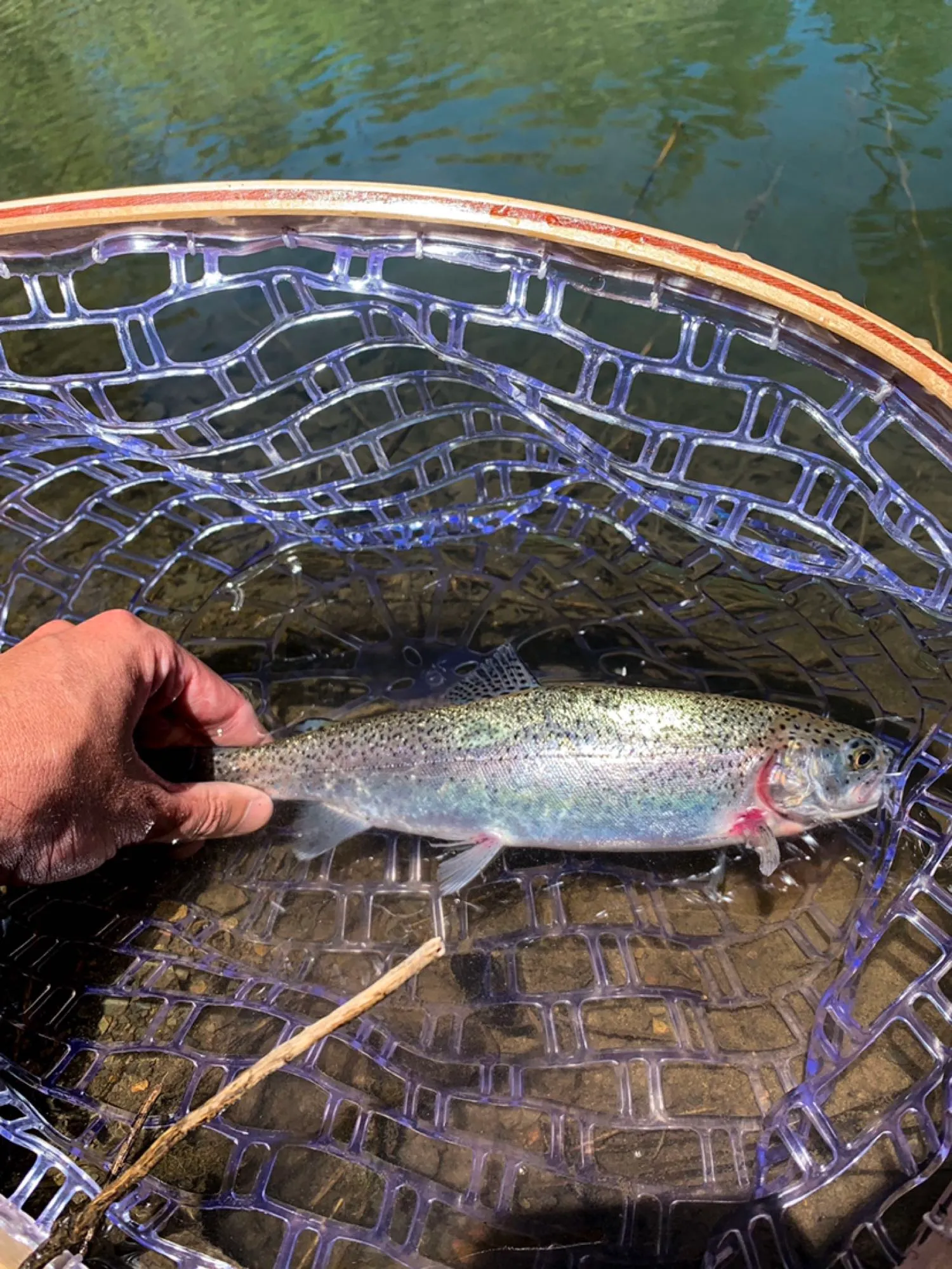 Post image from mlicon