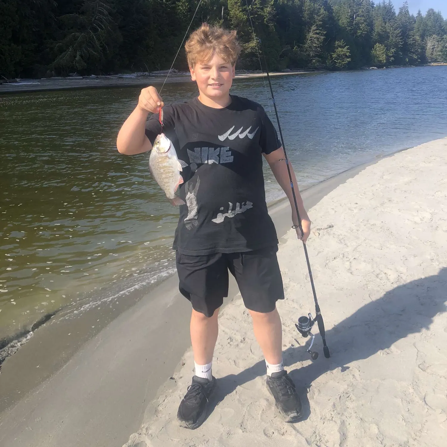 The most recent Flathead flounder catches on Fishbrain