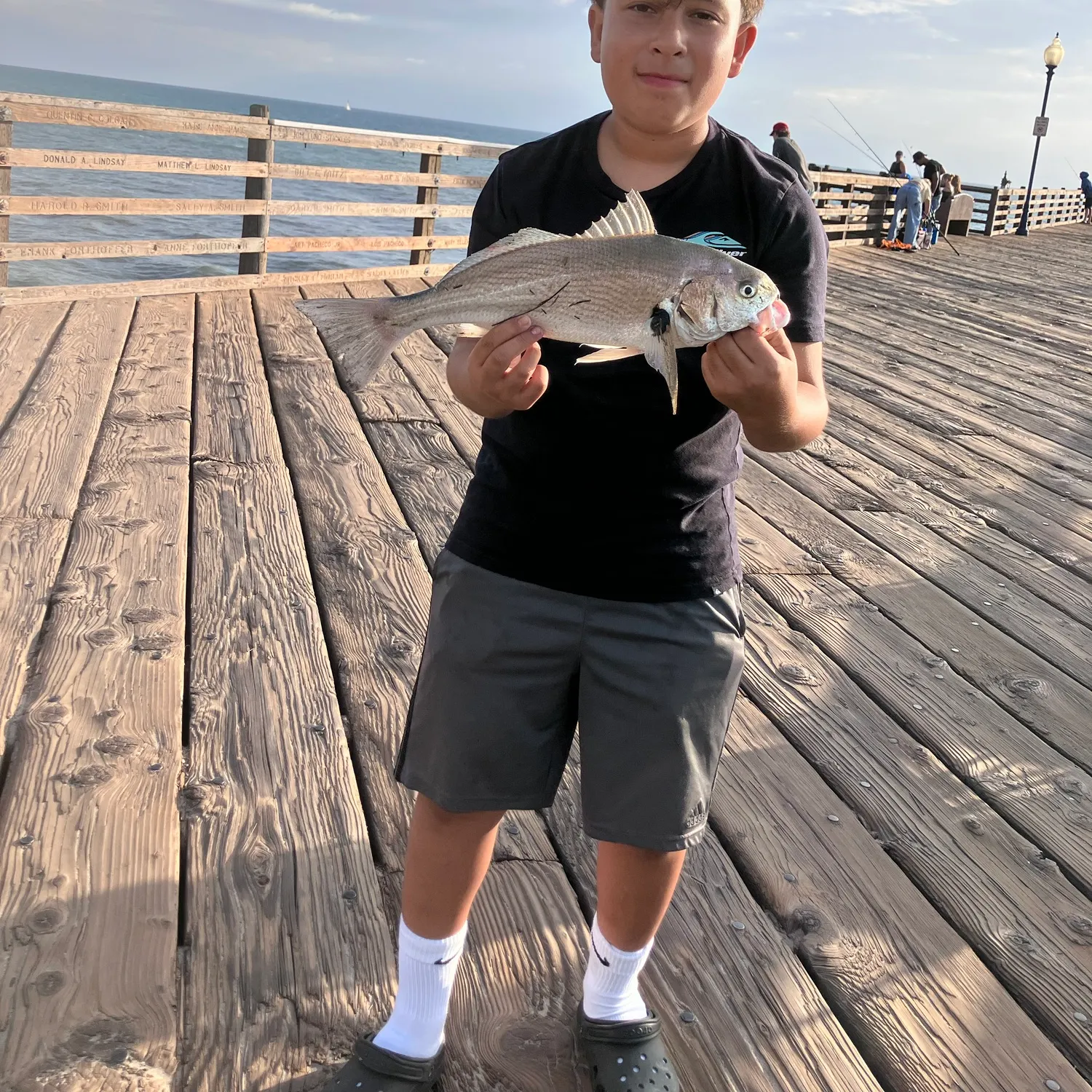 The most recent Spotfin croaker catches on Fishbrain