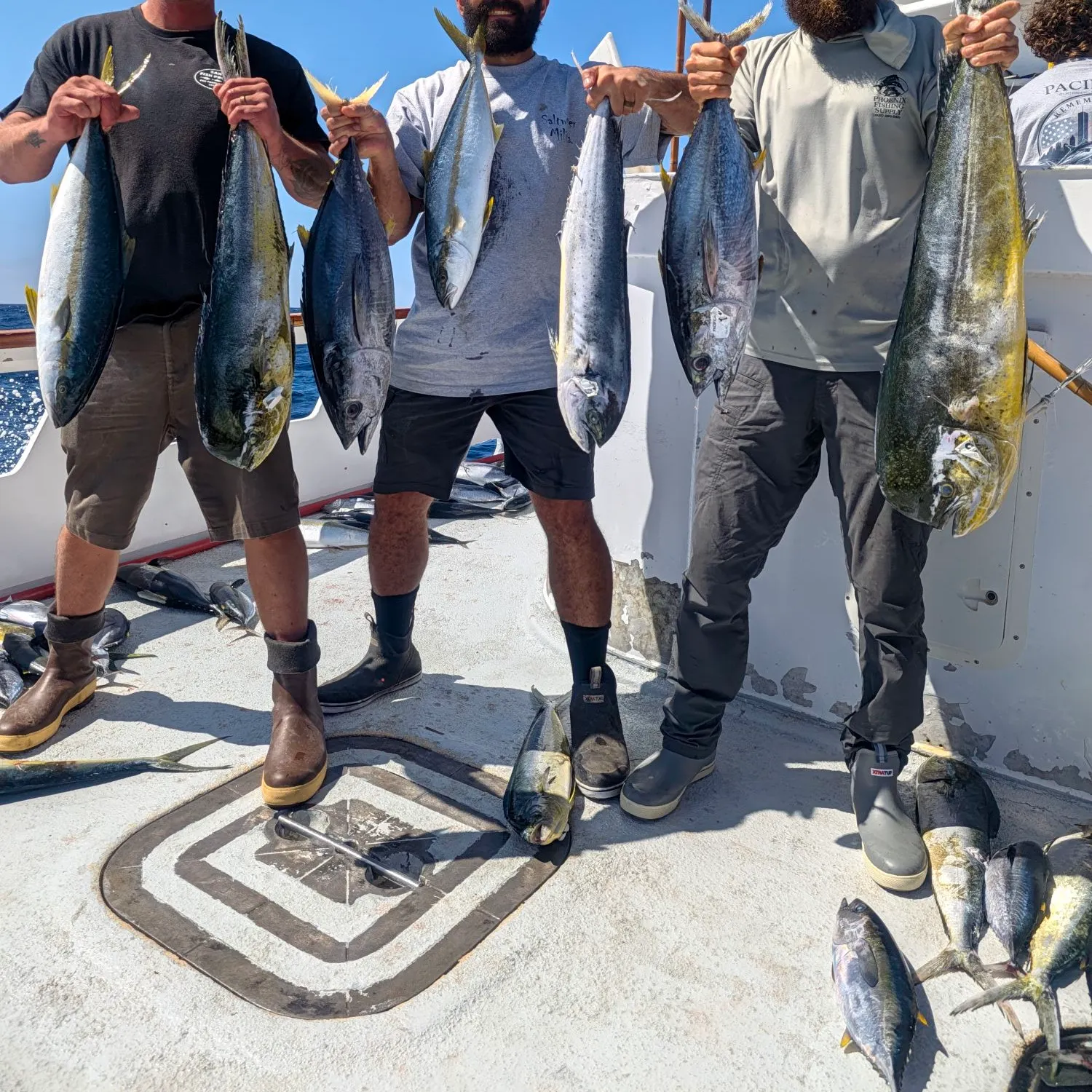 Common dolphinfish caught on Fishbrain