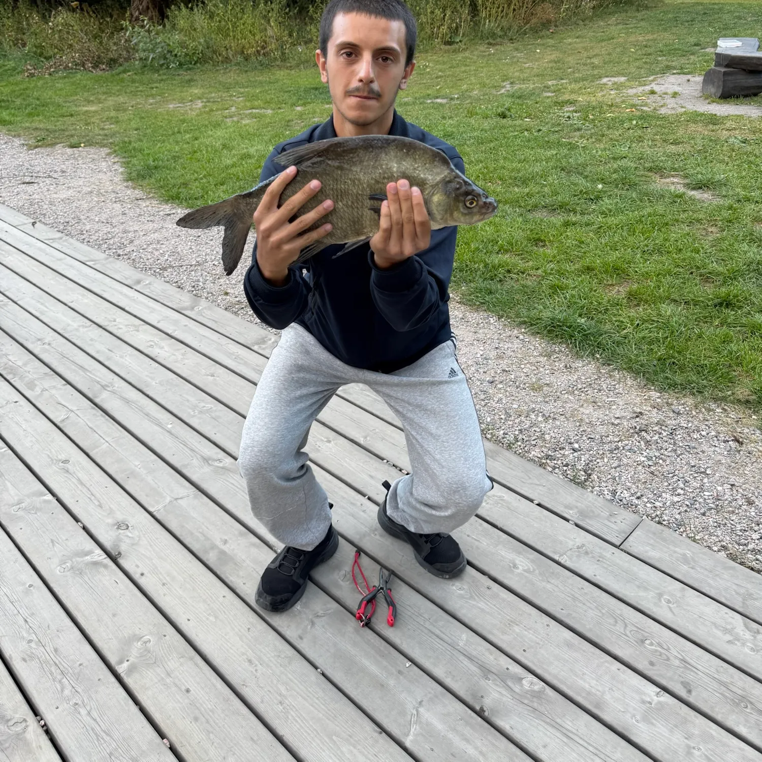 The most recent Common bream catches on Fishbrain
