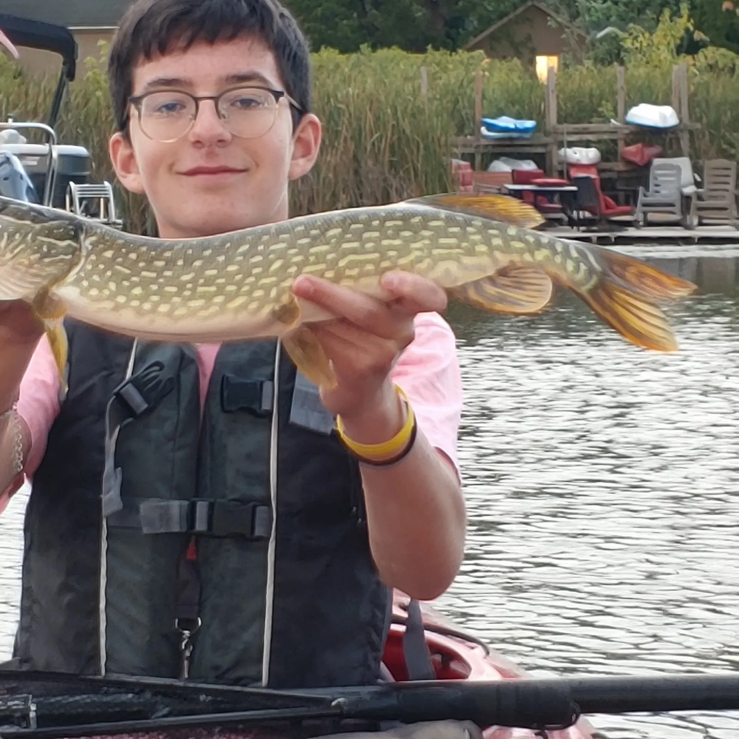 Northern pike caught on Fishbrain