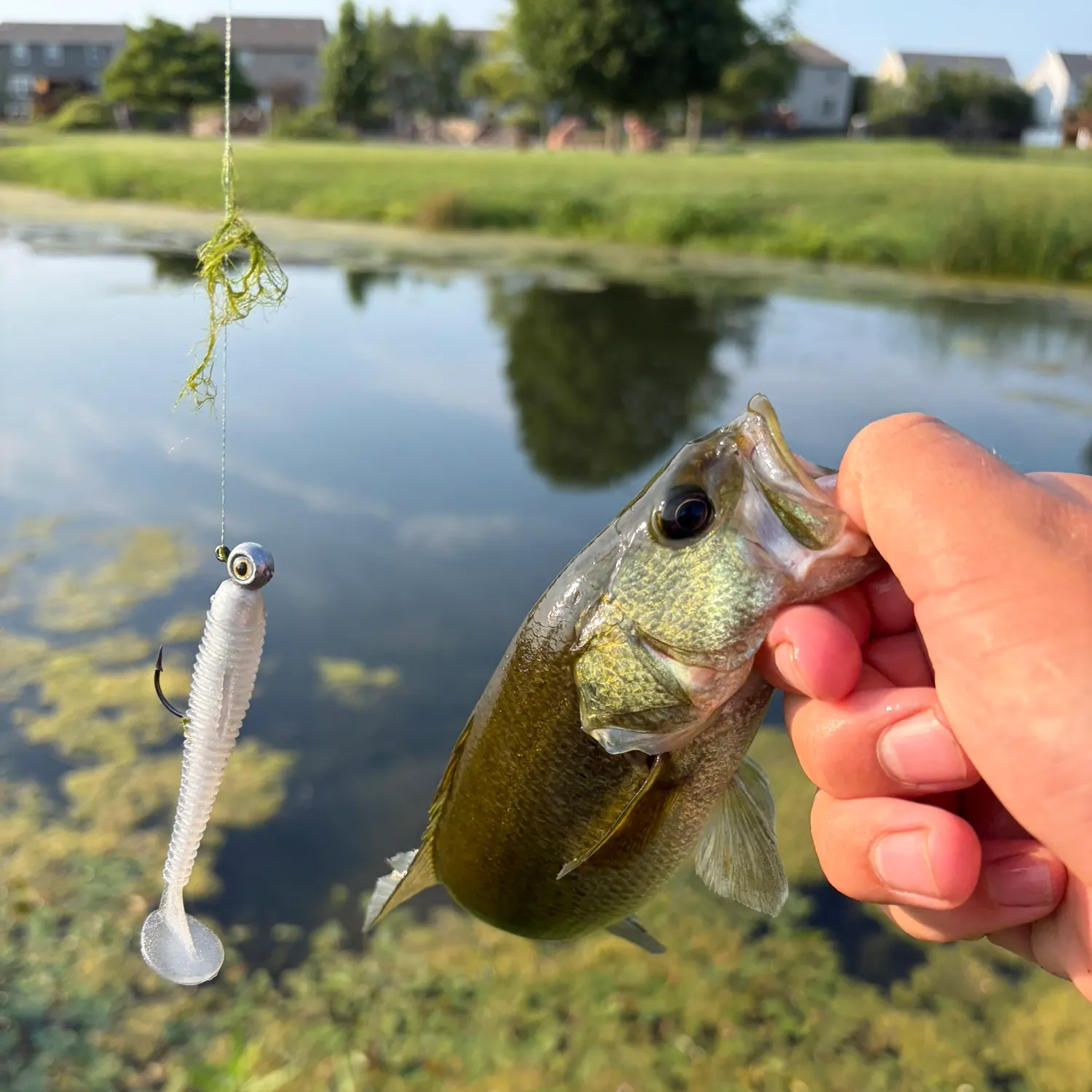 best medium weight saltwater fishing rod & reel Fusion Spinning Combo free rod Fishing rod storage in Size,Color & Suitable Bait Weight:SiC1134BFS, Peek Freshwater-Flies