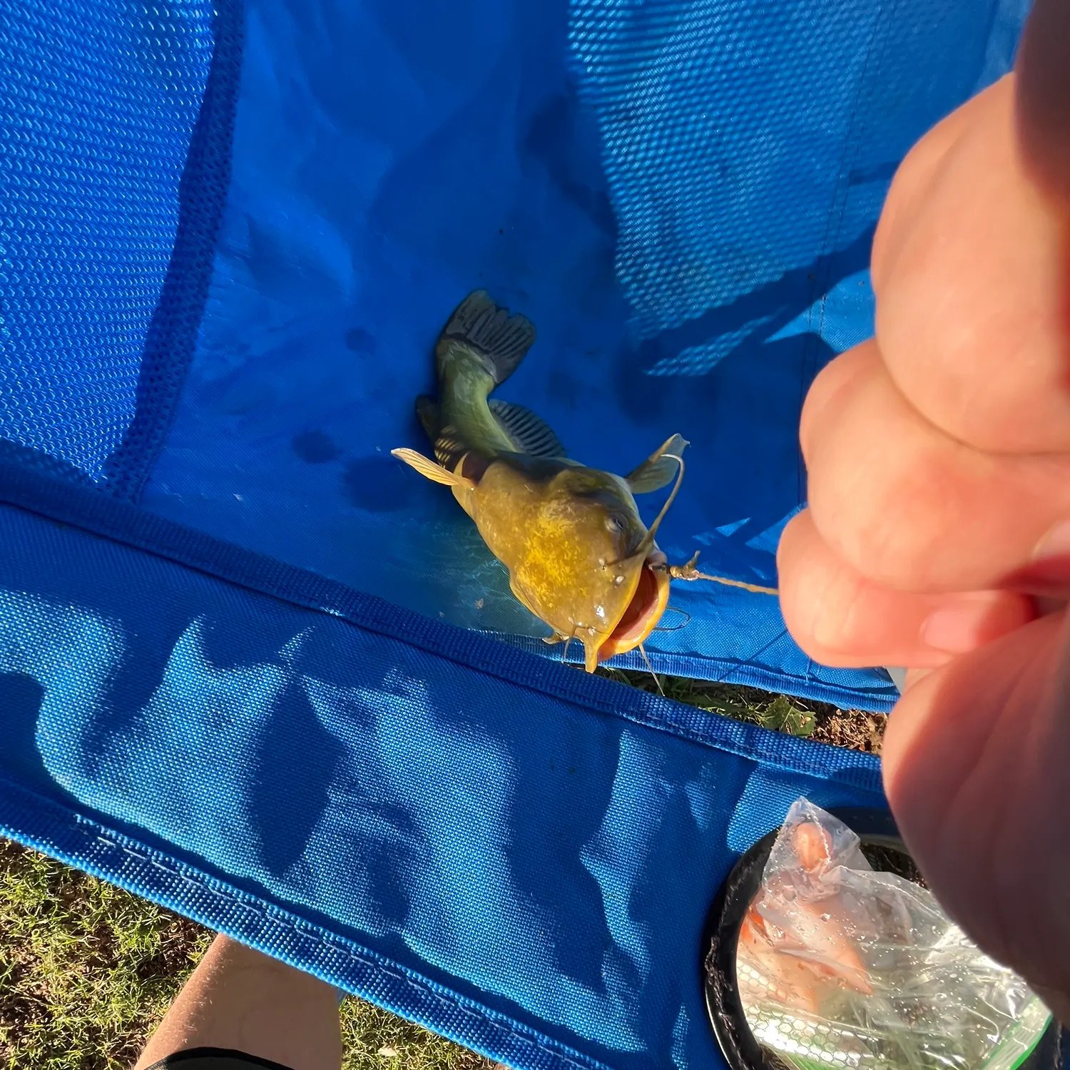 catch