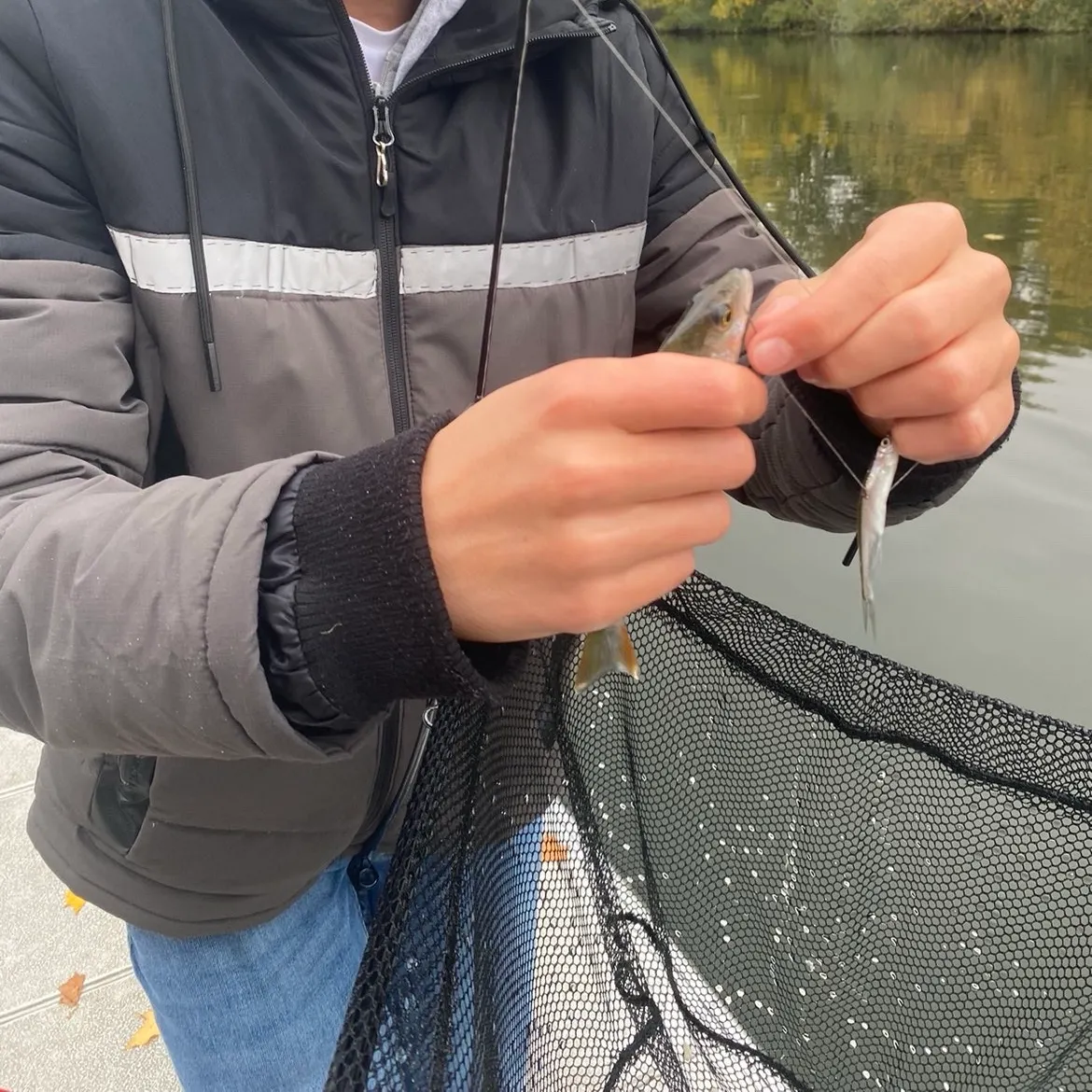 catch