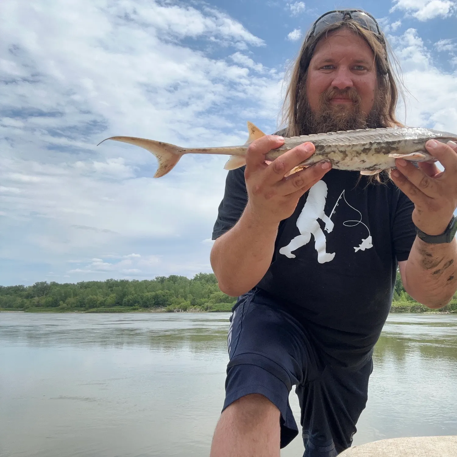 Shovelnose sturgeon caught on Fishbrain