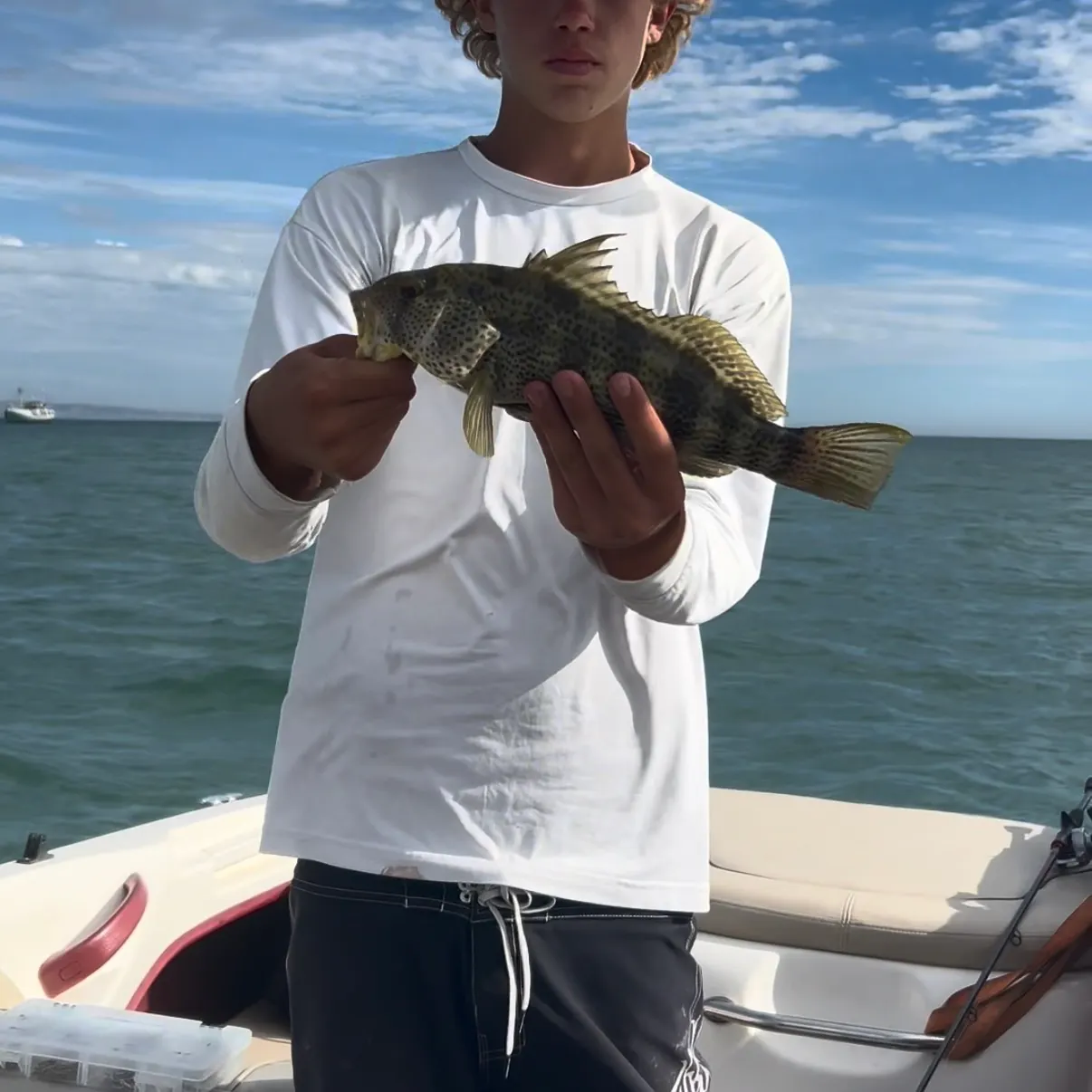 Spotted sand bass caught on Fishbrain