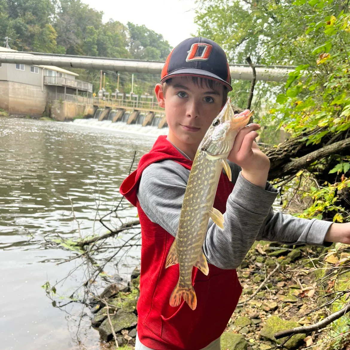 Northern pike caught on Fishbrain
