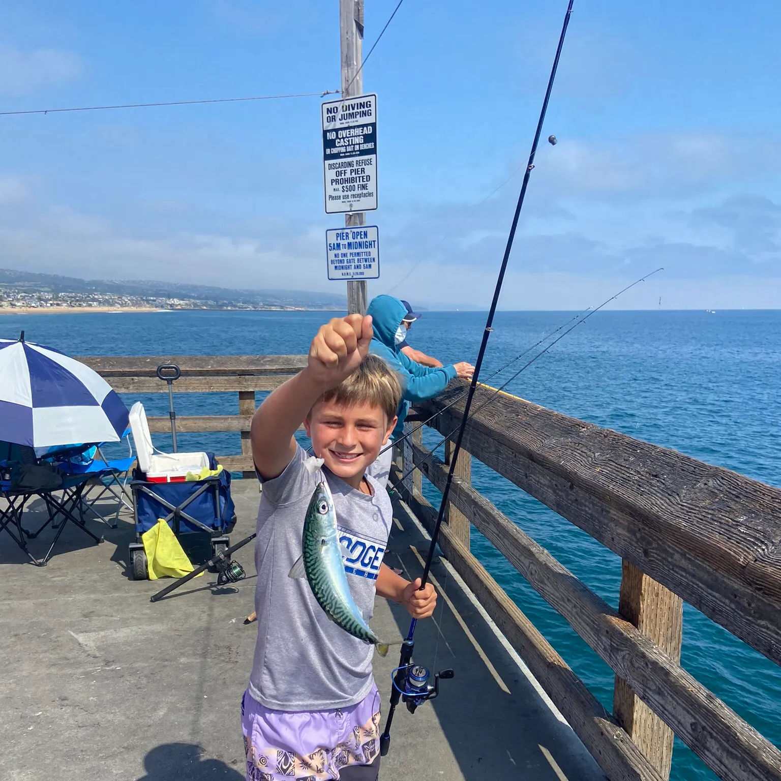 The most recent Pacific chub mackerel catches on Fishbrain