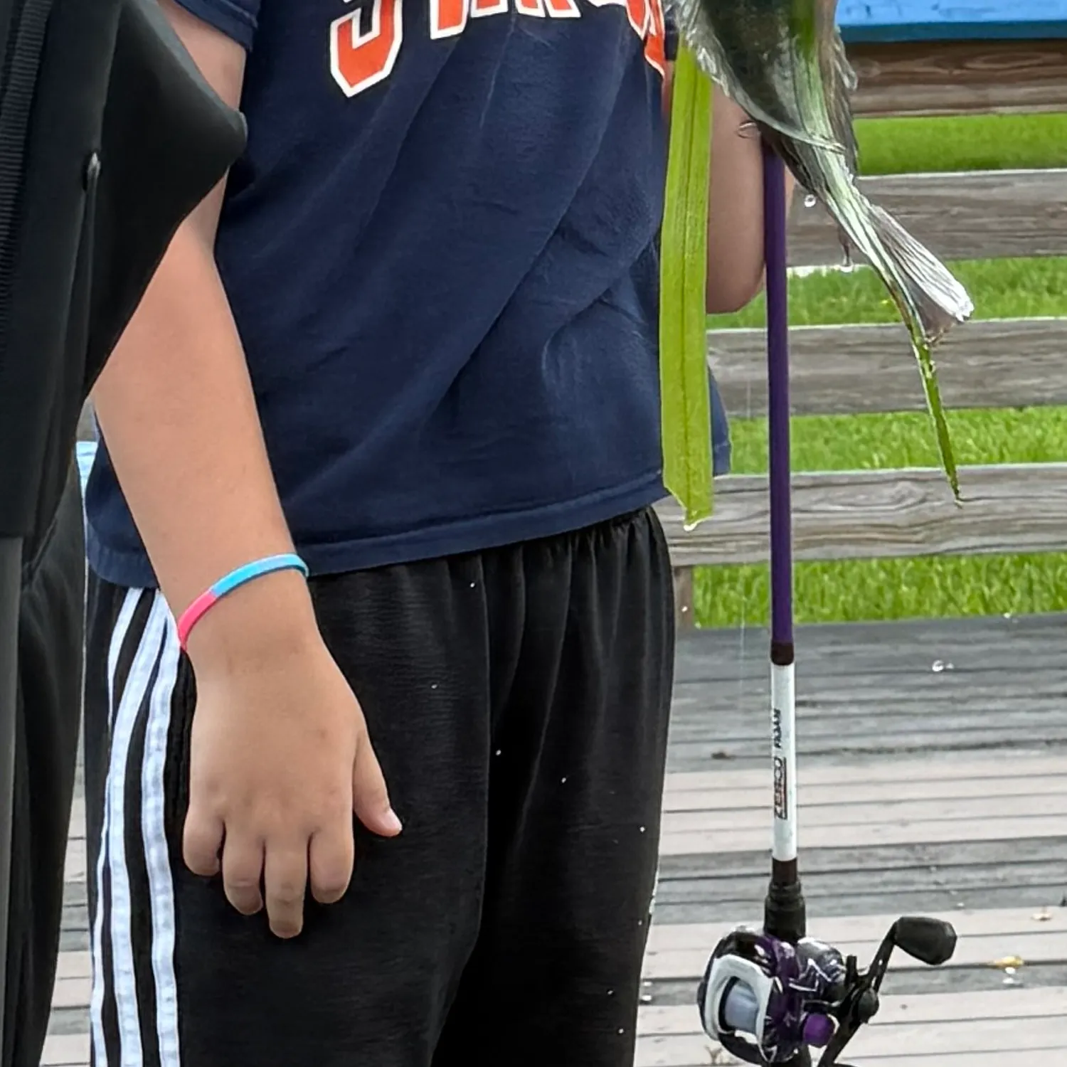 Fish caught on Fishbrain