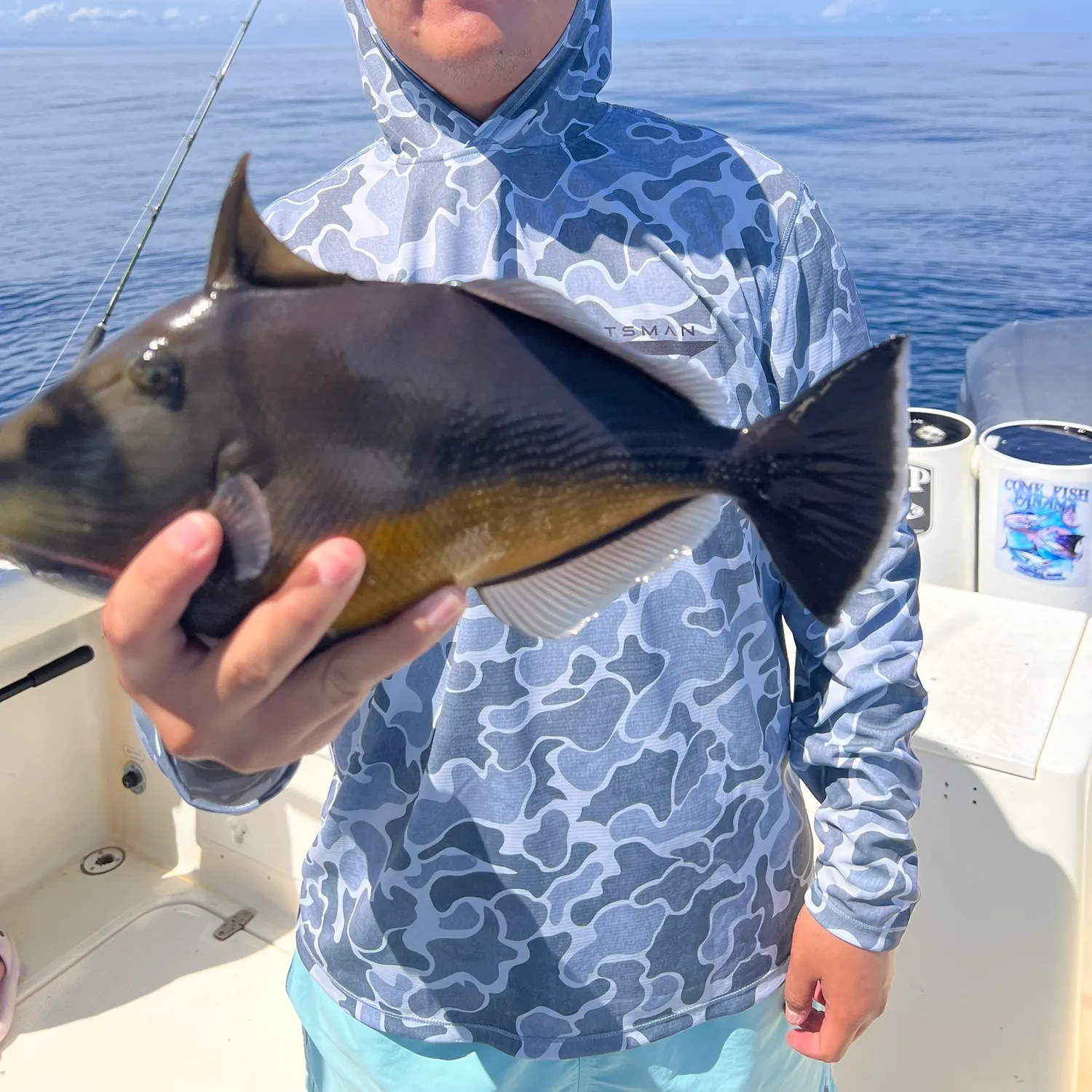 The most recent Black triggerfish catches on Fishbrain