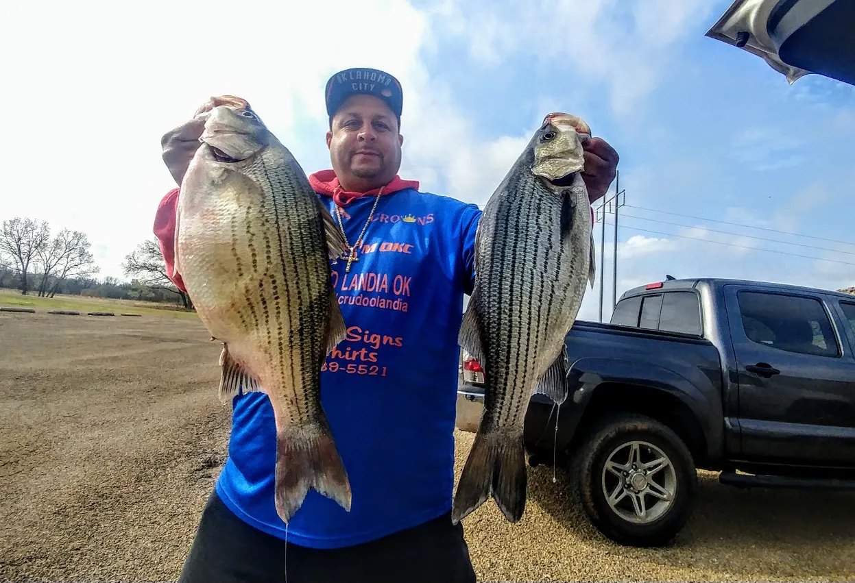 Post image from stealthassassin