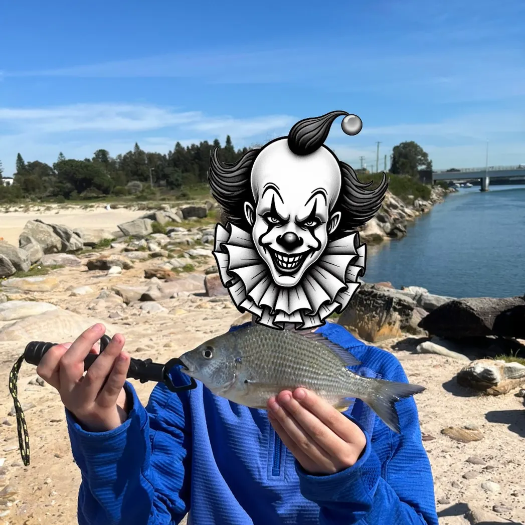 Southern black bream caught on Fishbrain