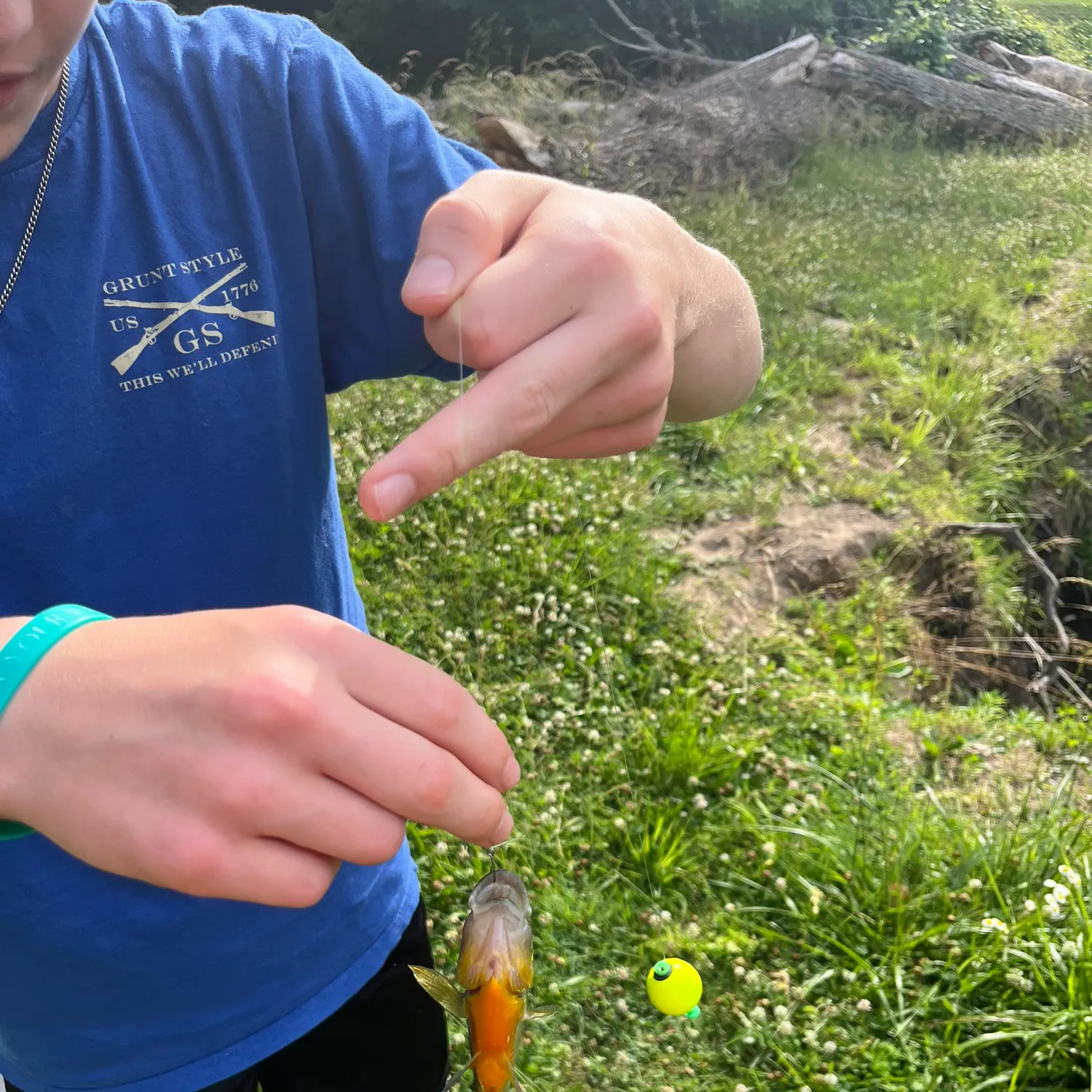 Bluegill caught on Fishbrain