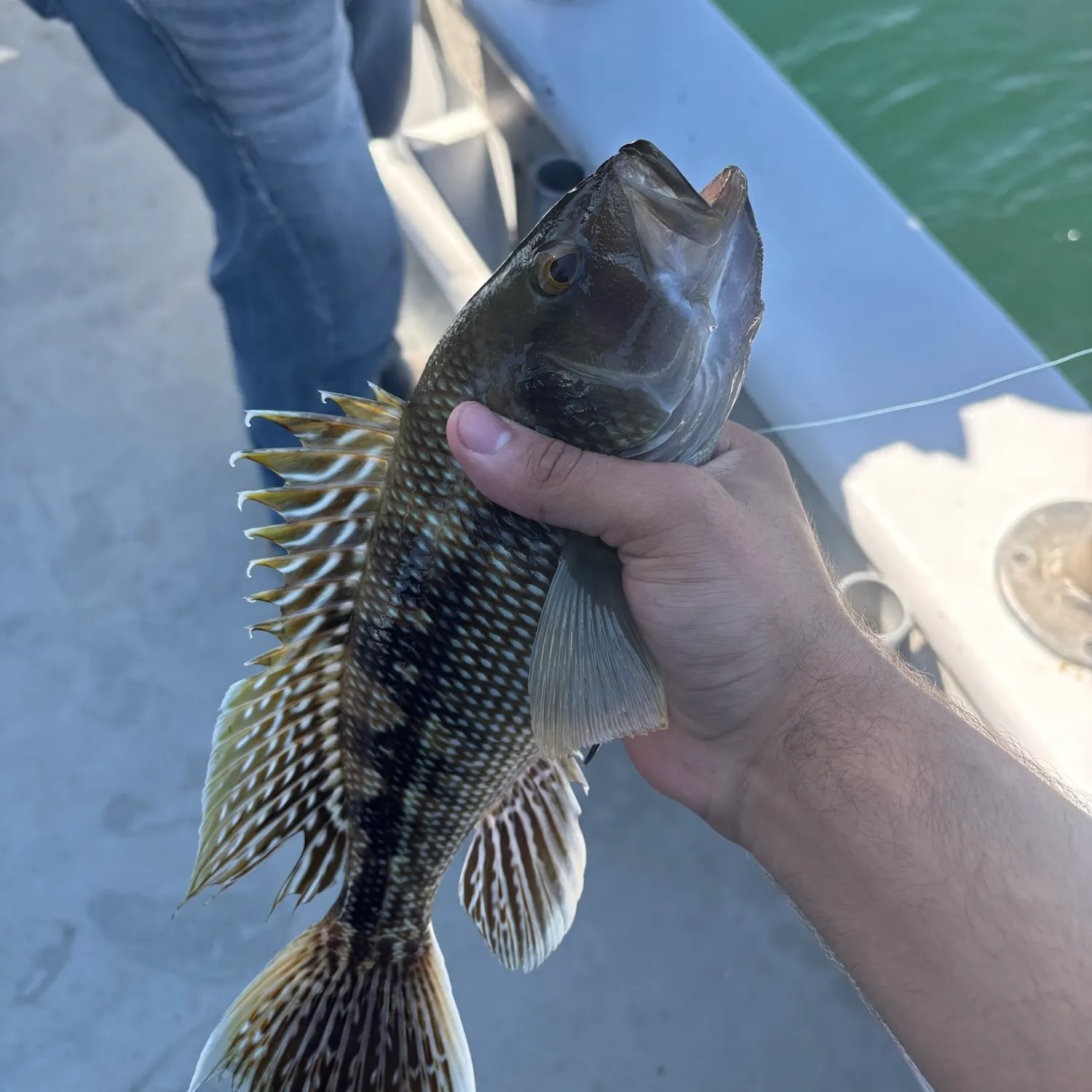 catch