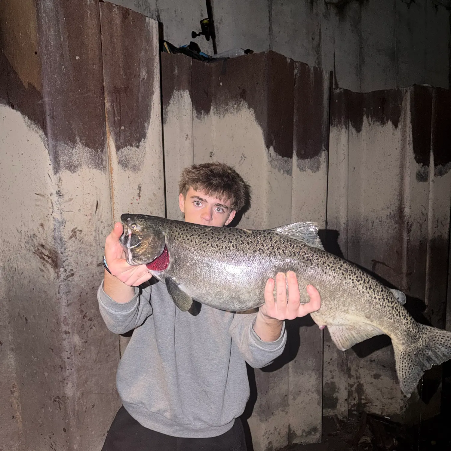 Chinook salmon caught on Fishbrain