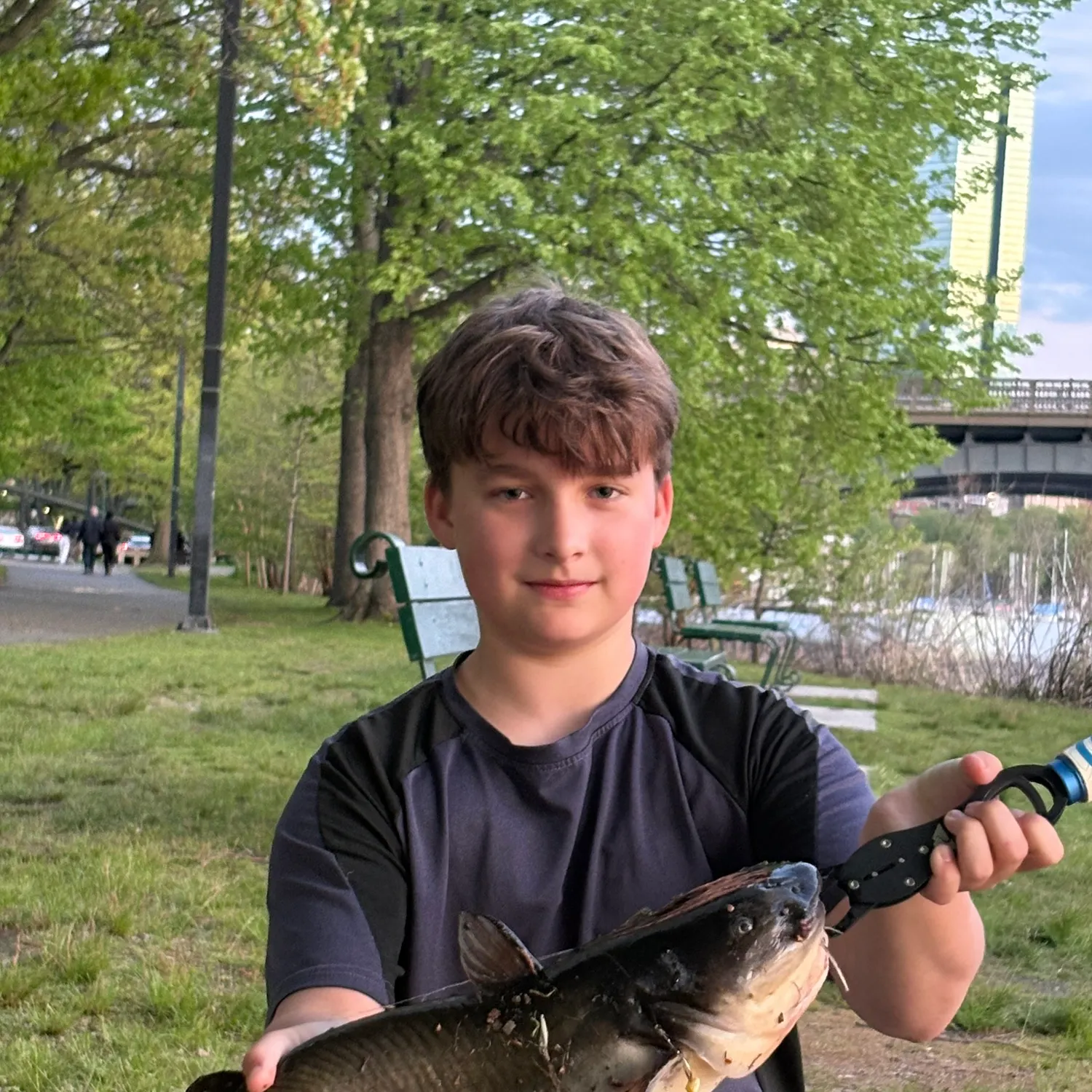 The most recent White bullhead catches on Fishbrain