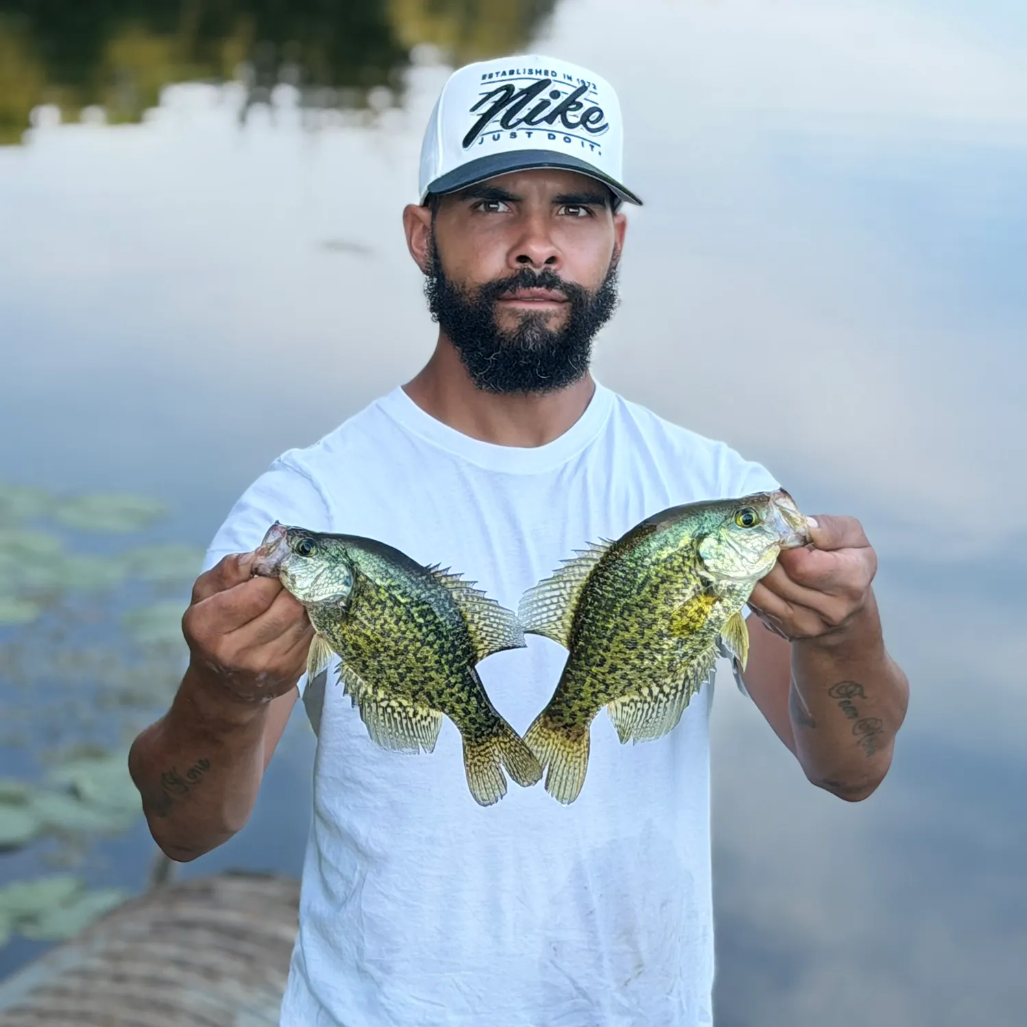 Black crappie caught on Fishbrain