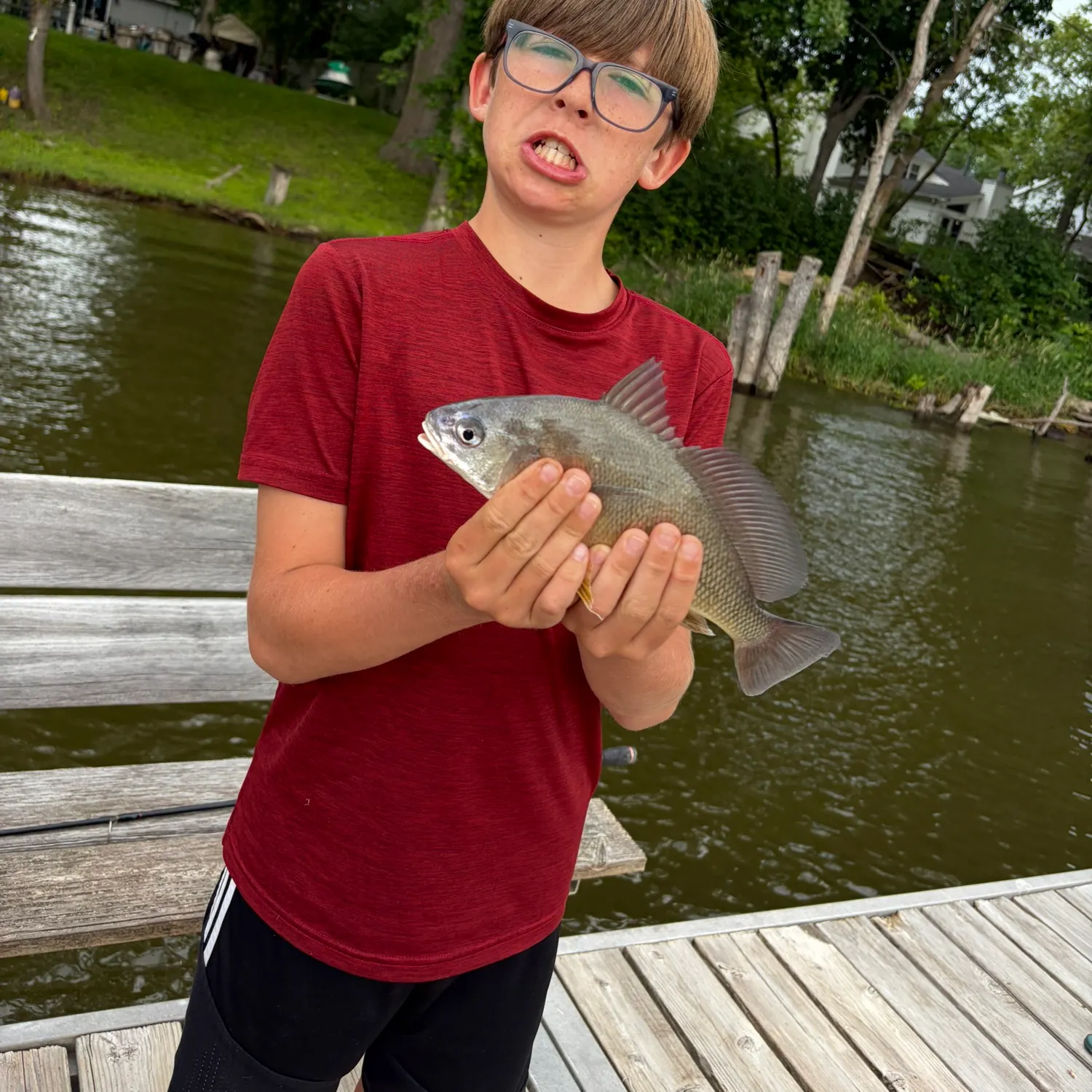 The most recent Sheepshead catches on Fishbrain