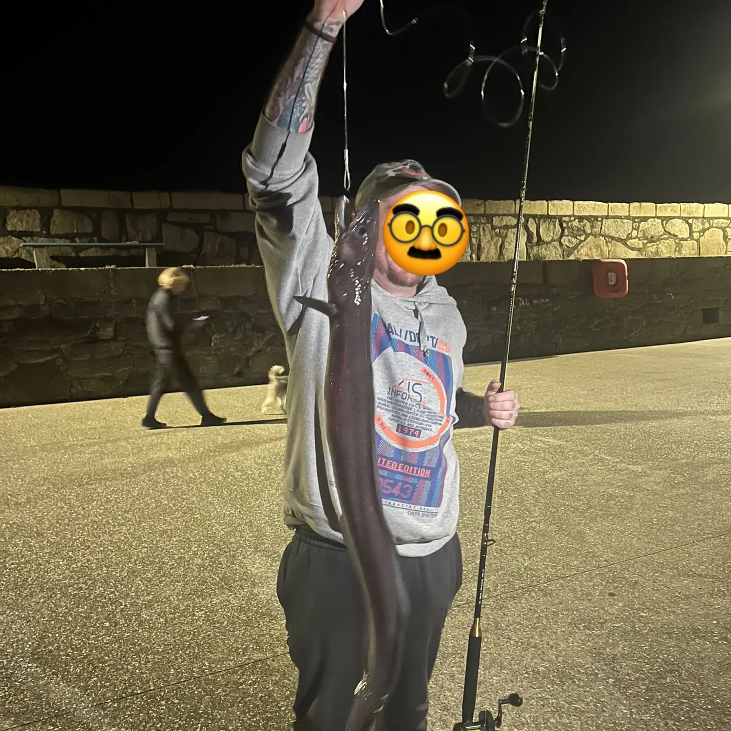 European eel caught on Fishbrain