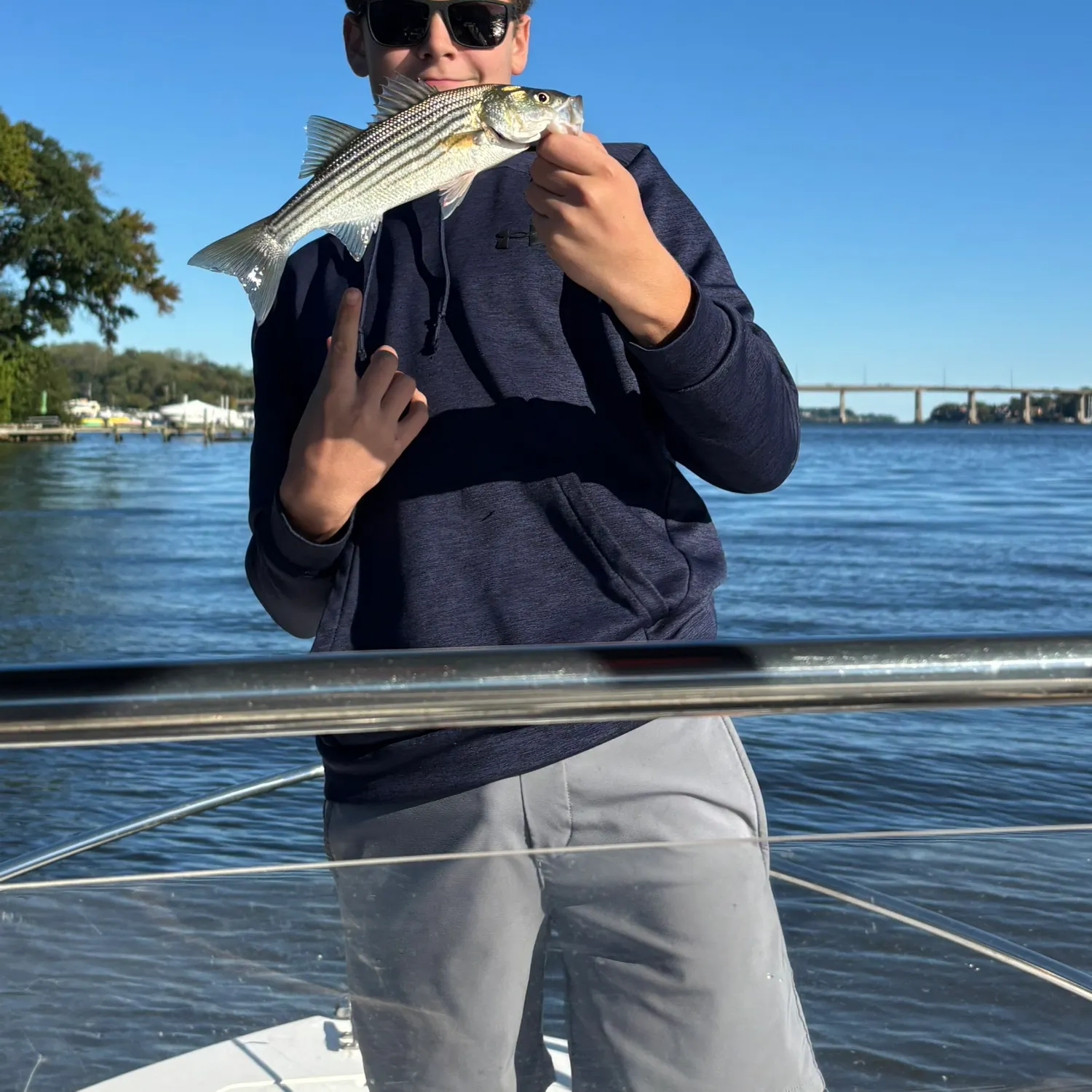 Striped bass caught on Fishbrain