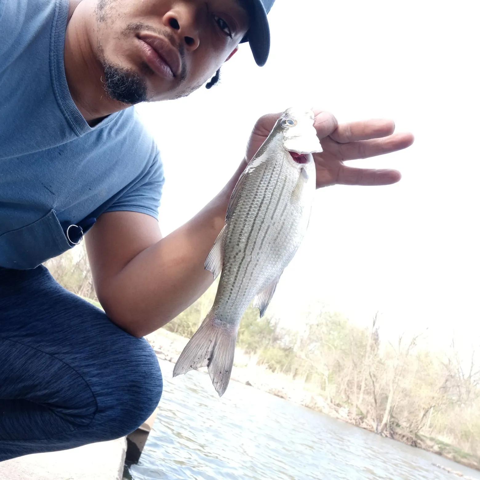 The most recent Hybrid striped bass catches on Fishbrain