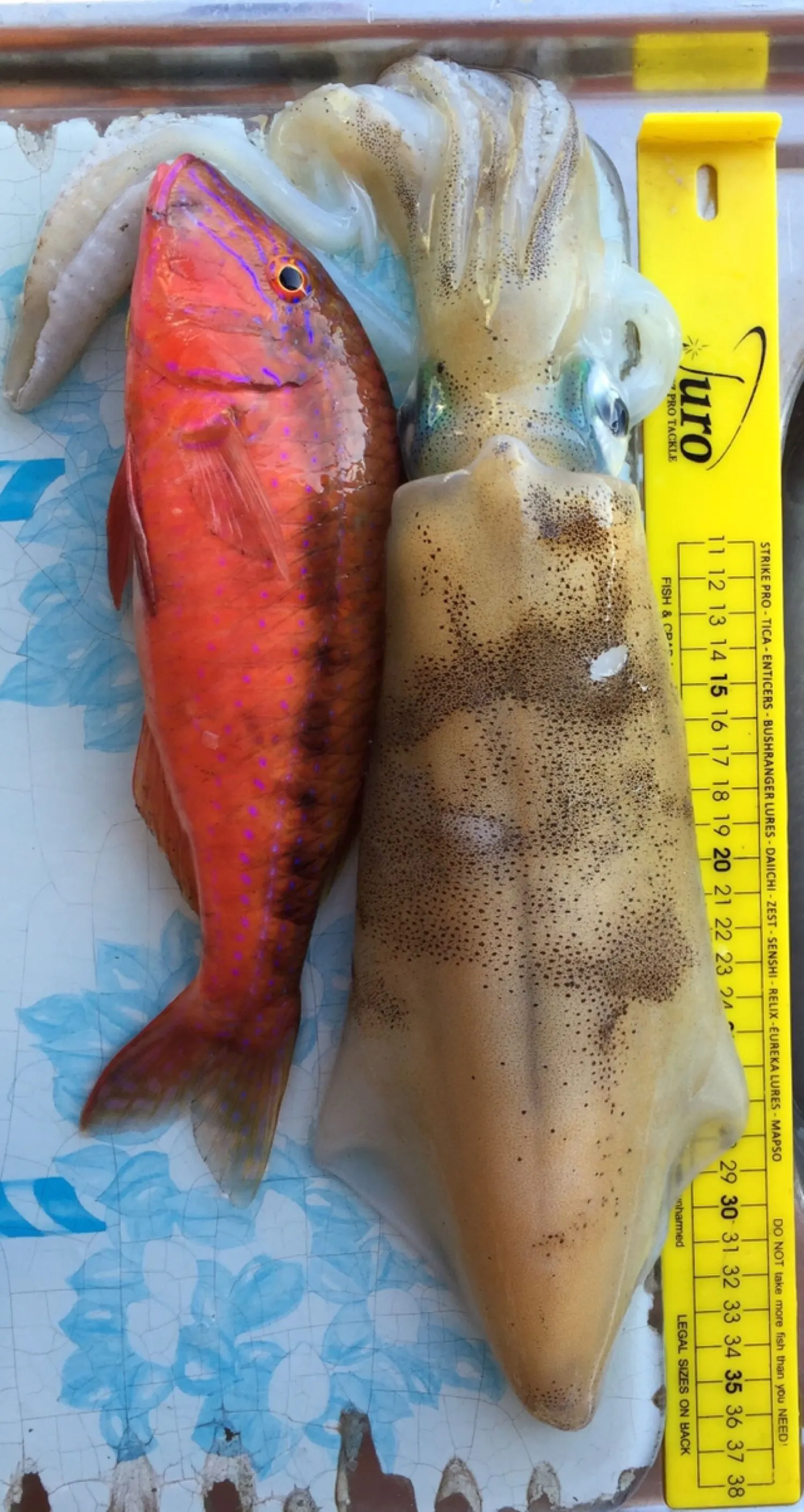 Post image from tkirkovski