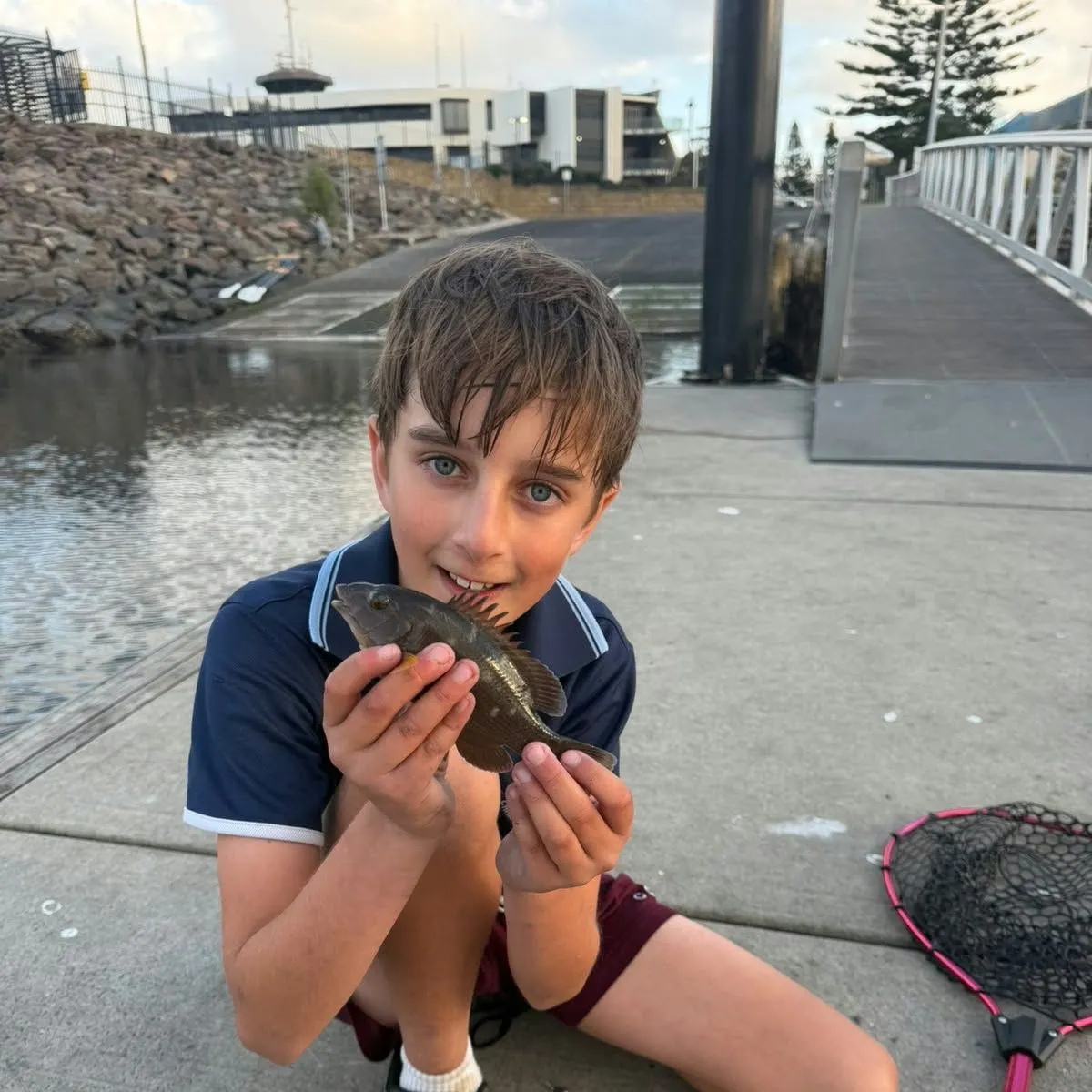 The most recent Eastern blue groper catches on Fishbrain